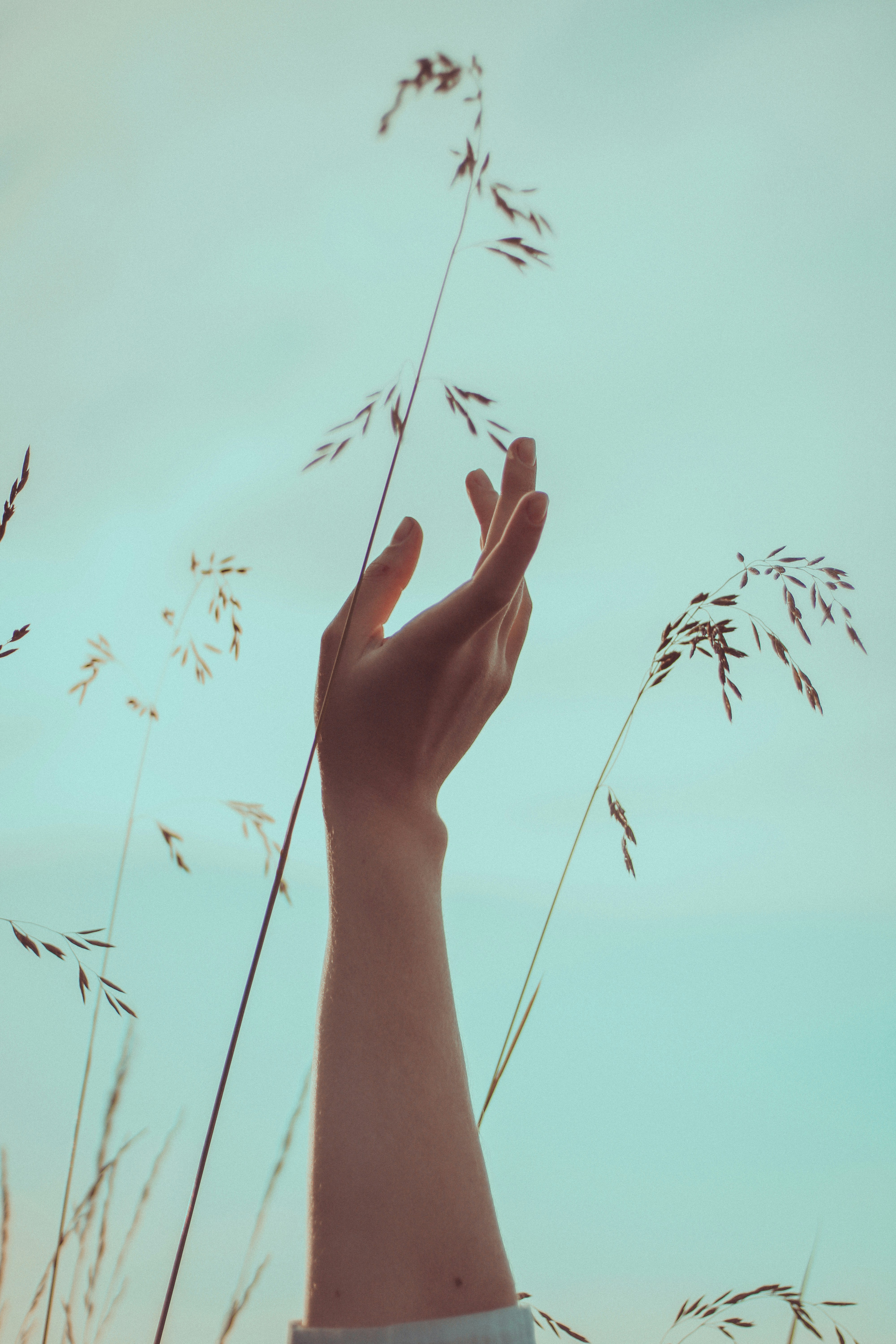 Photo by mineral_of_demon