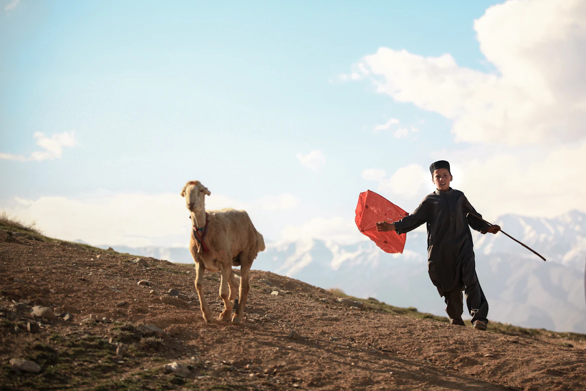 Food aid distribution in Afghanistan