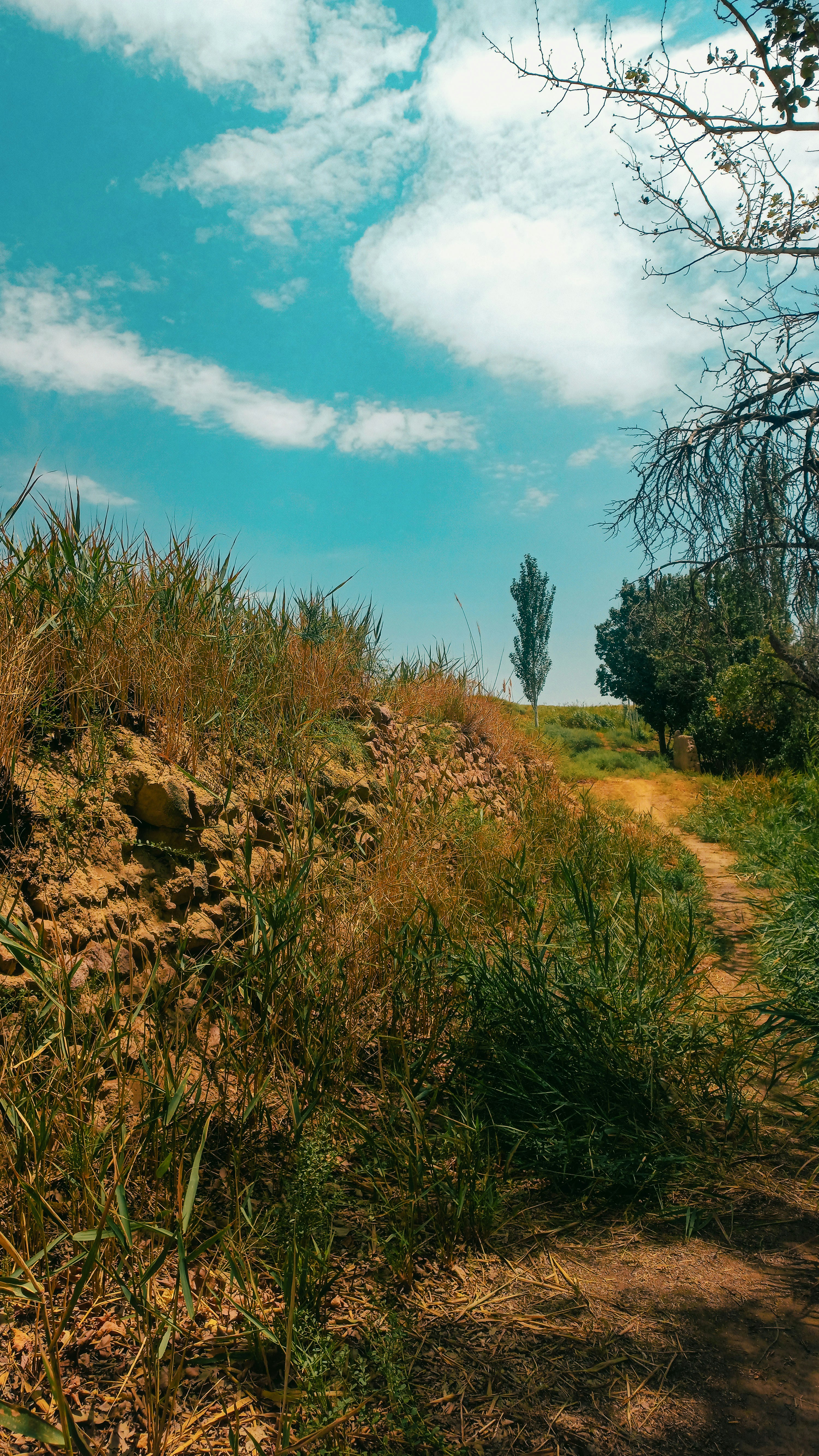 A dirt path winds through grassy fields under a blue sky.