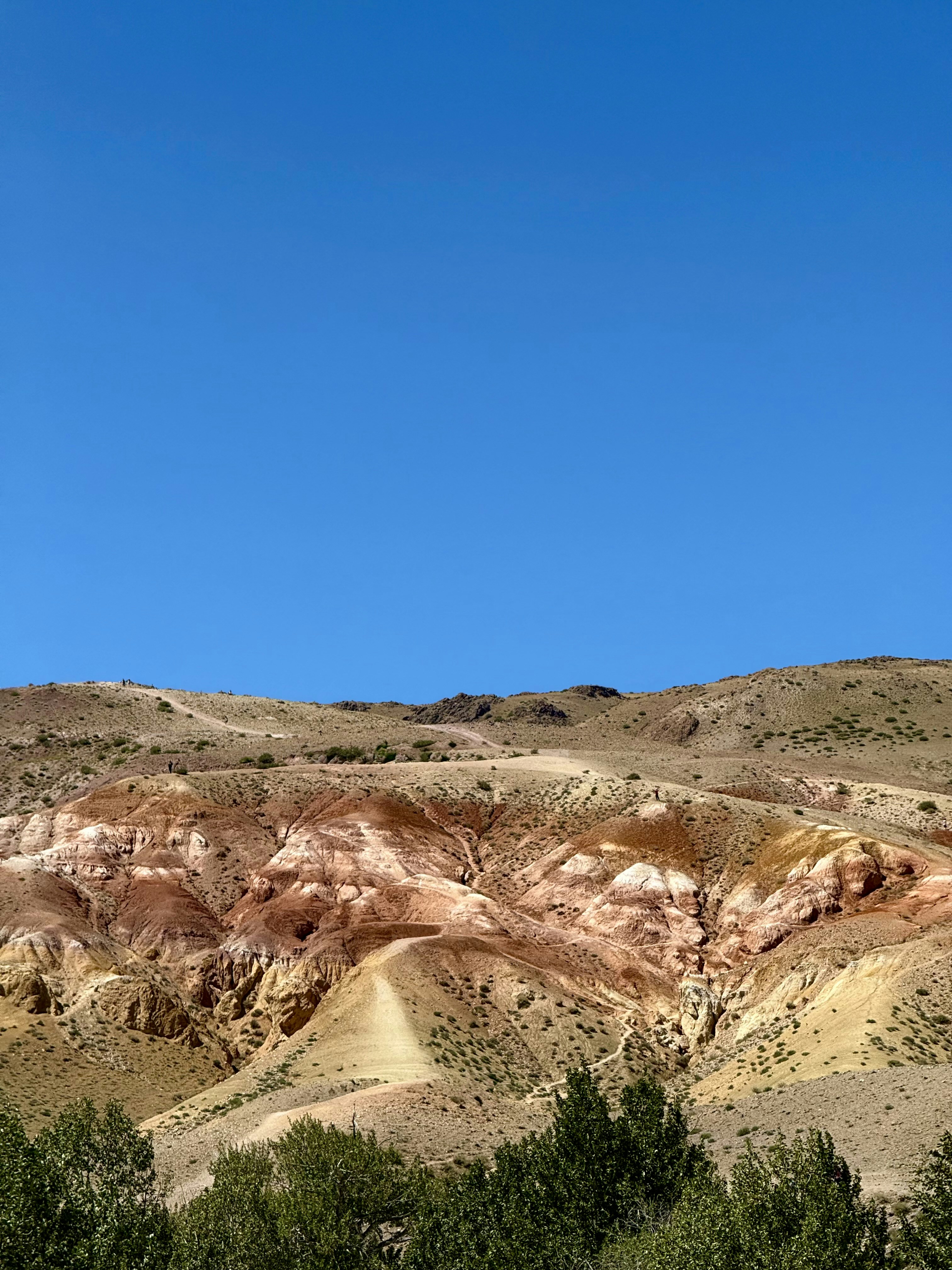 Photo by vitalina_evg22