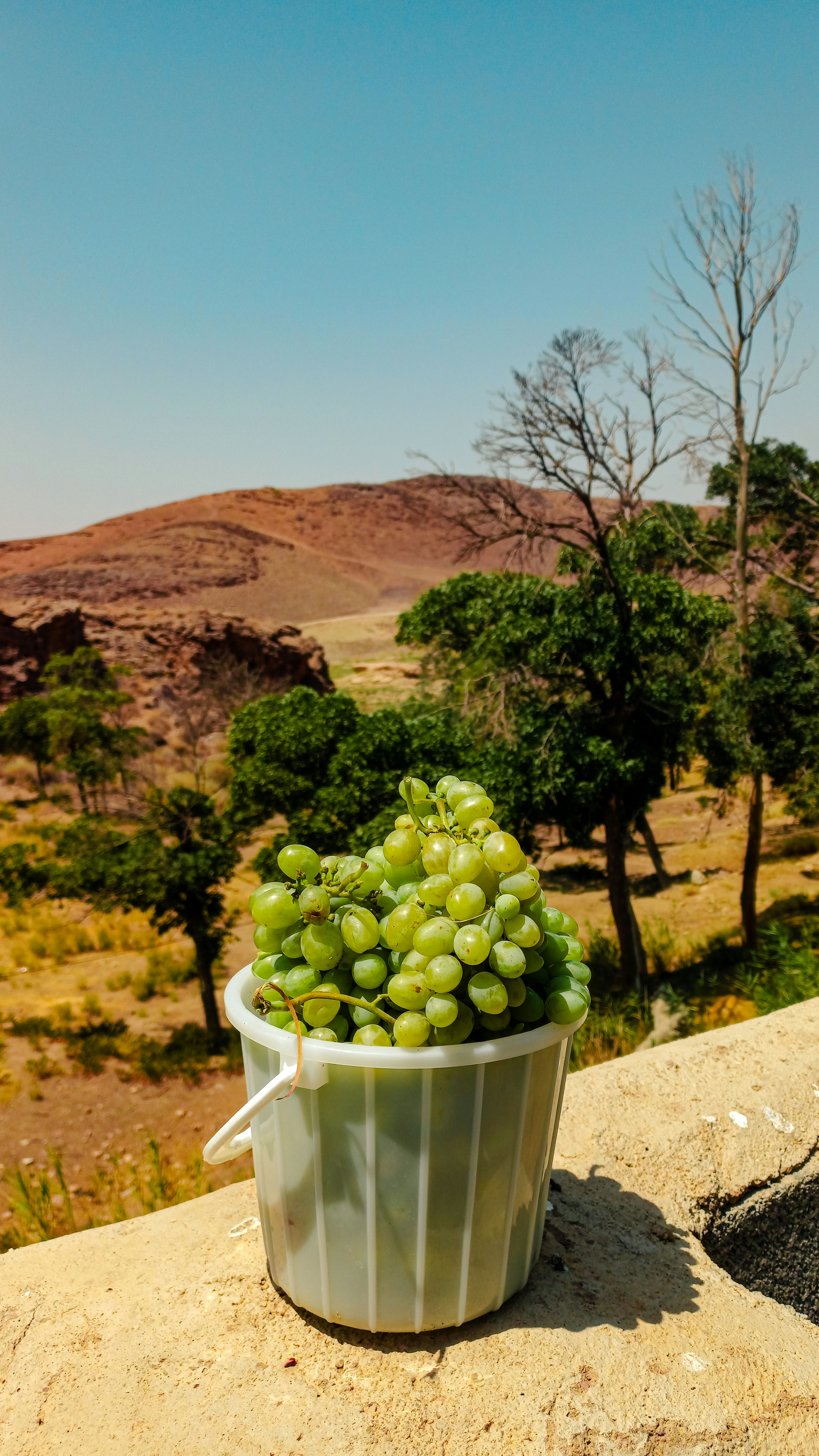 Bucket of green grapes on a ledge with dry hills