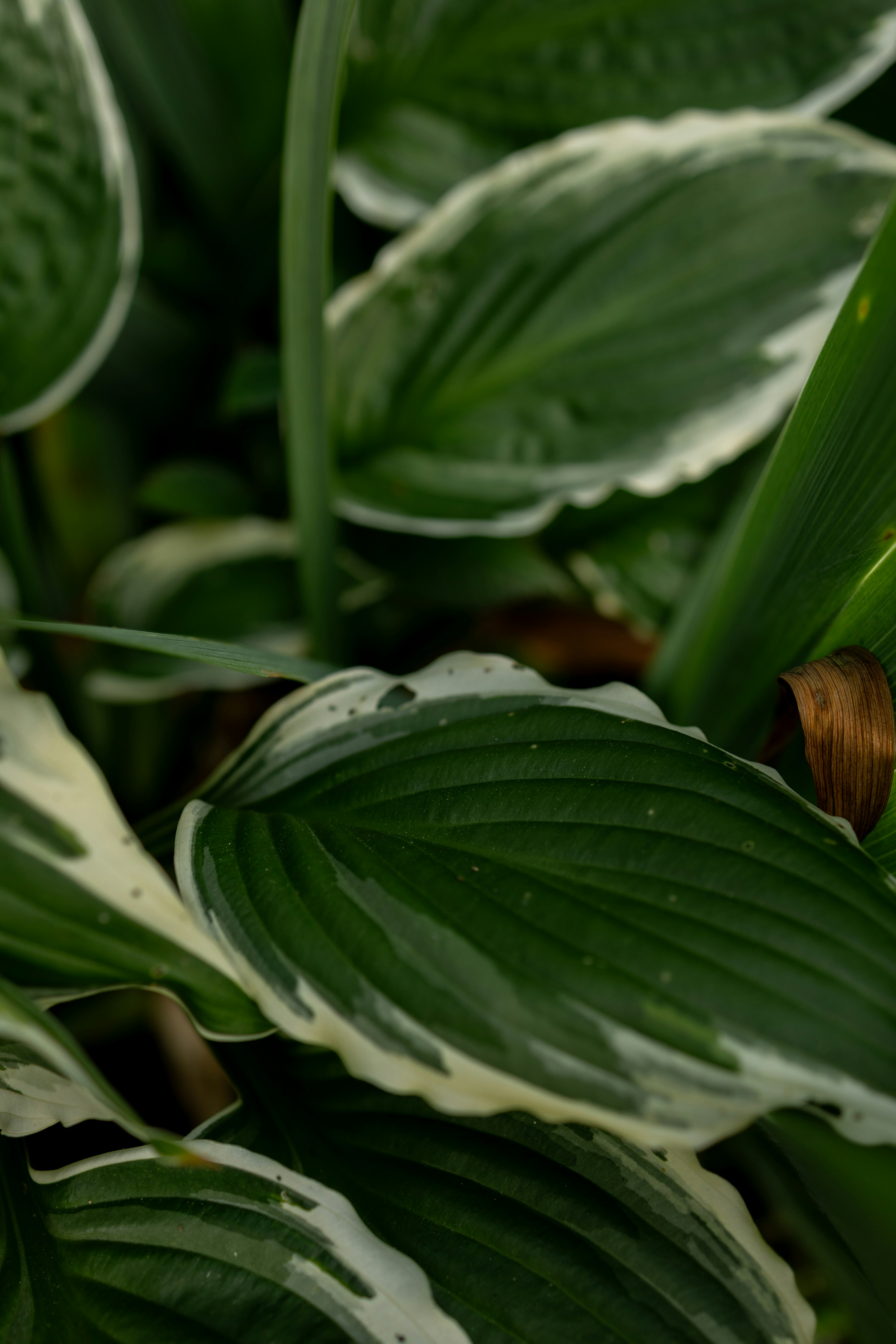 Photo by denimandrain