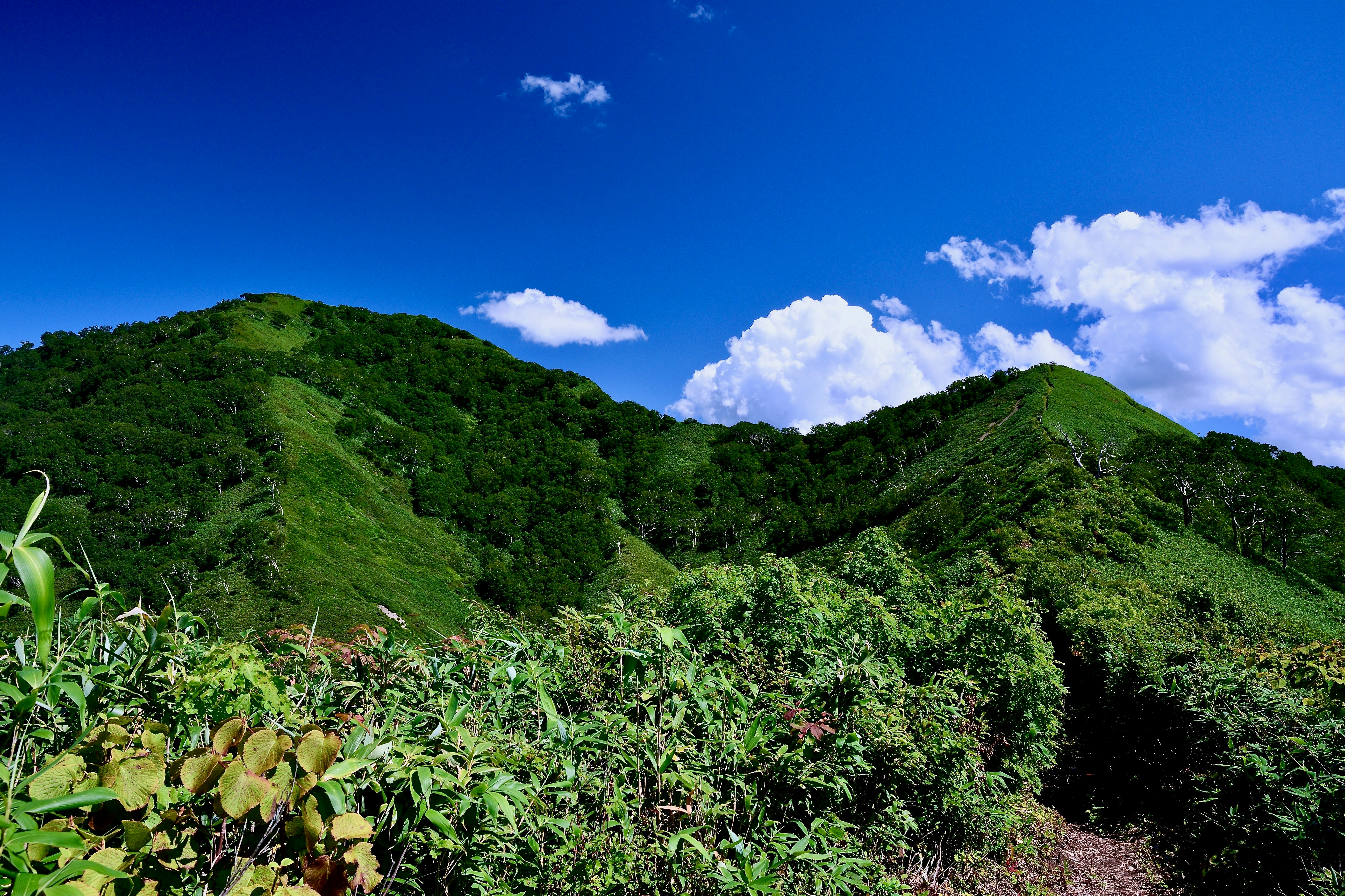 Lush green mountains under a bright blue sky.