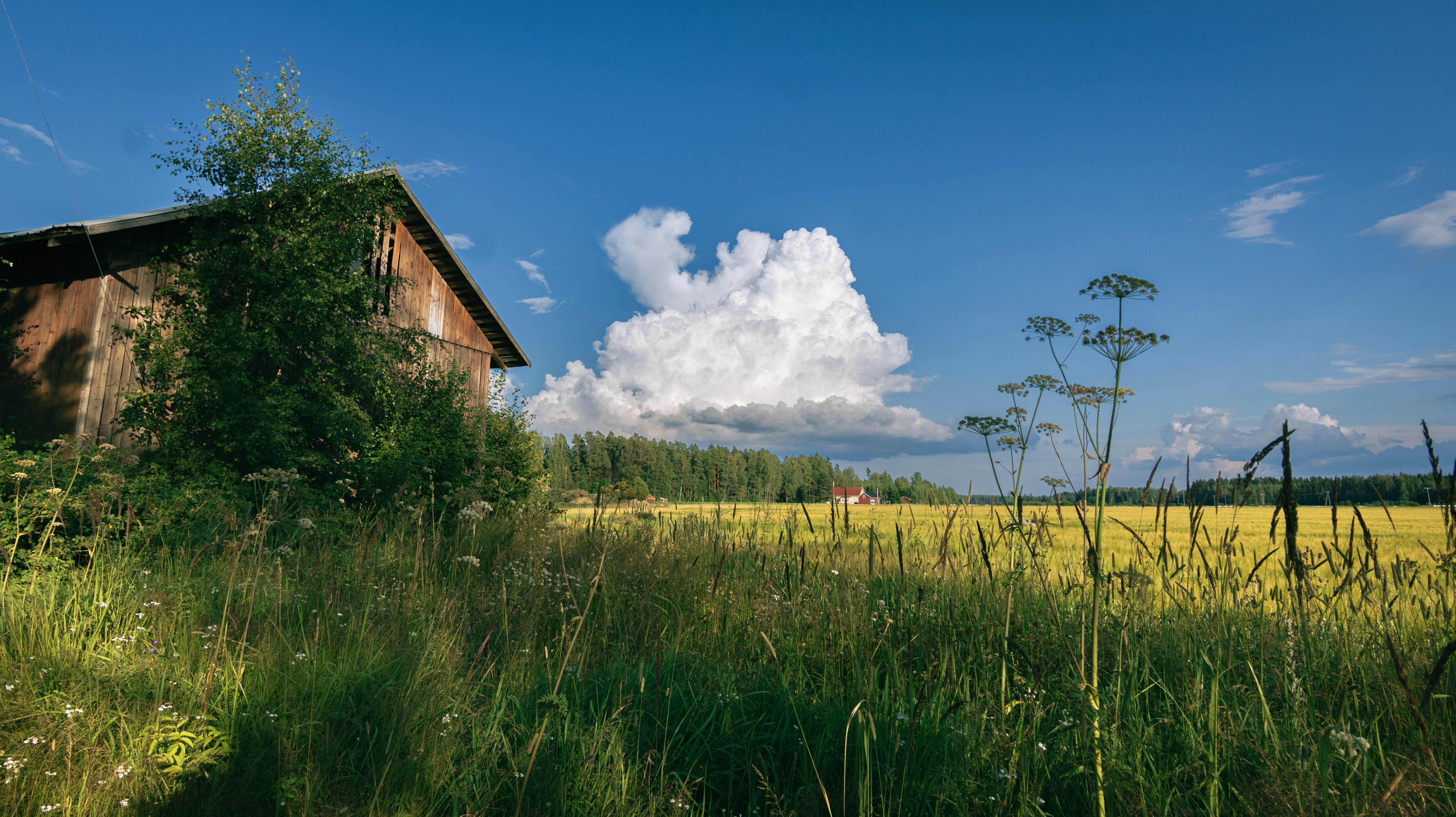 Photo by juho_aleksi_luomala