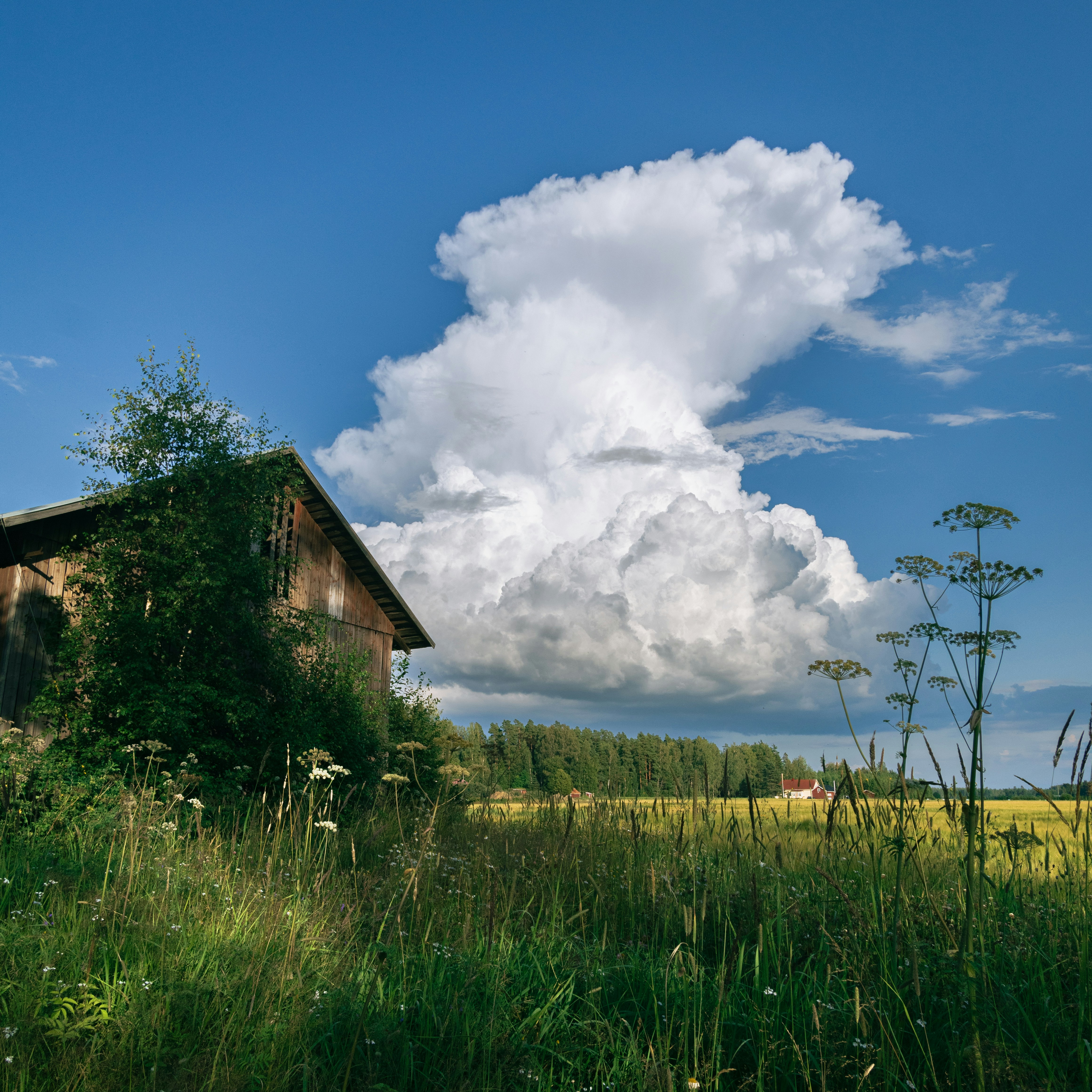 Photo by juho_aleksi_luomala