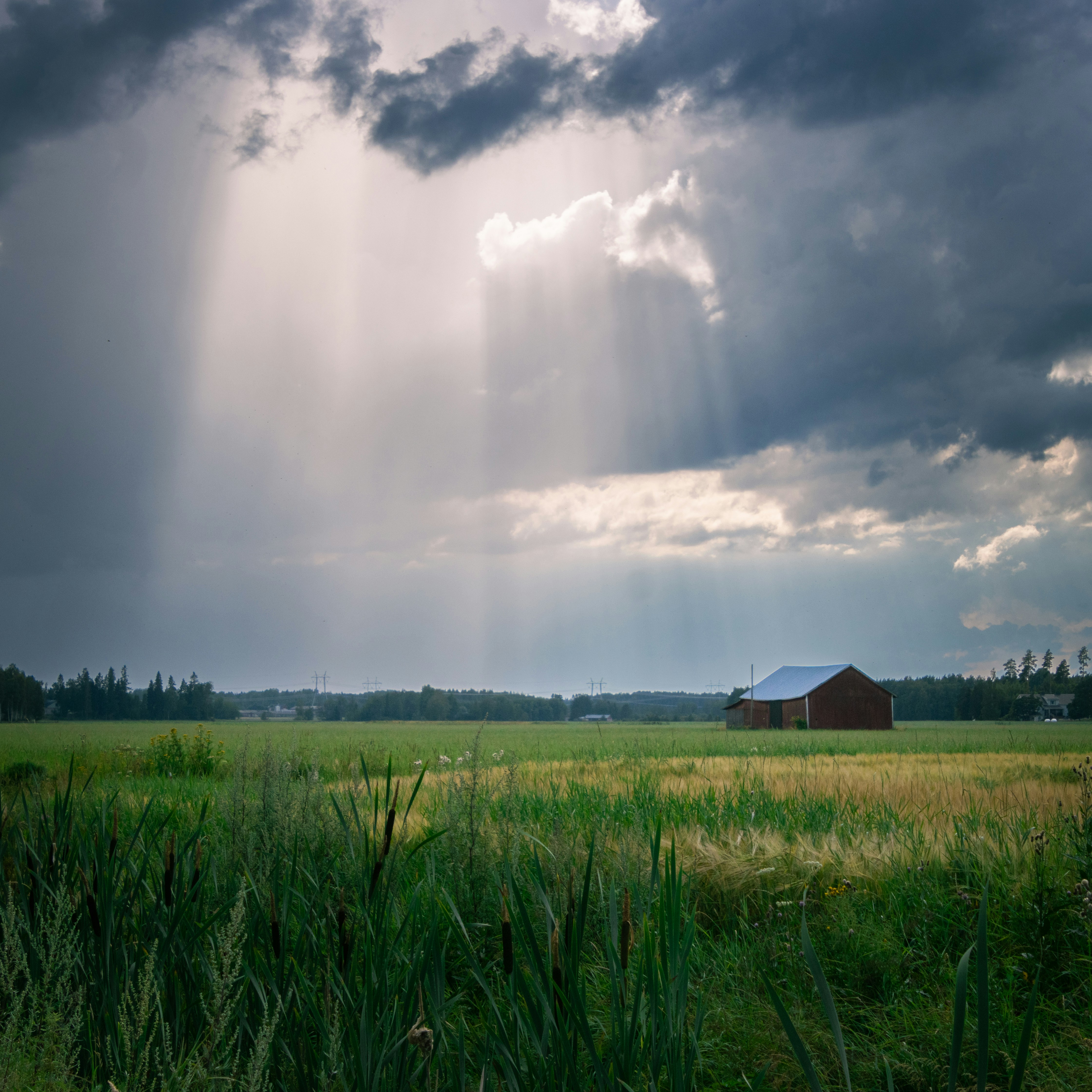Sunbeams shine through stormy clouds onto a rural field.