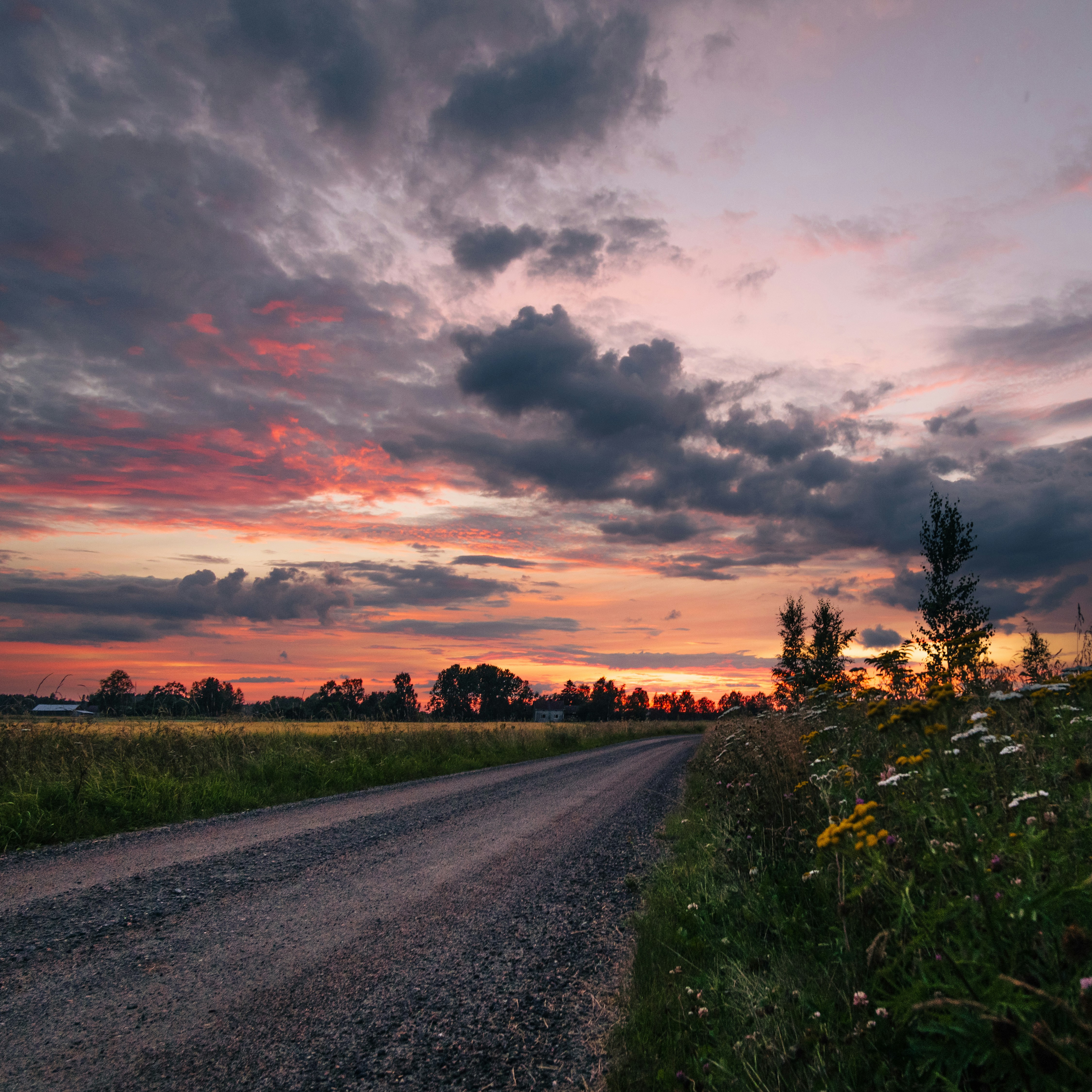 Gravel road through a field at sunset