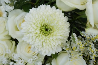 White roses and a gerbera daisy arrangement