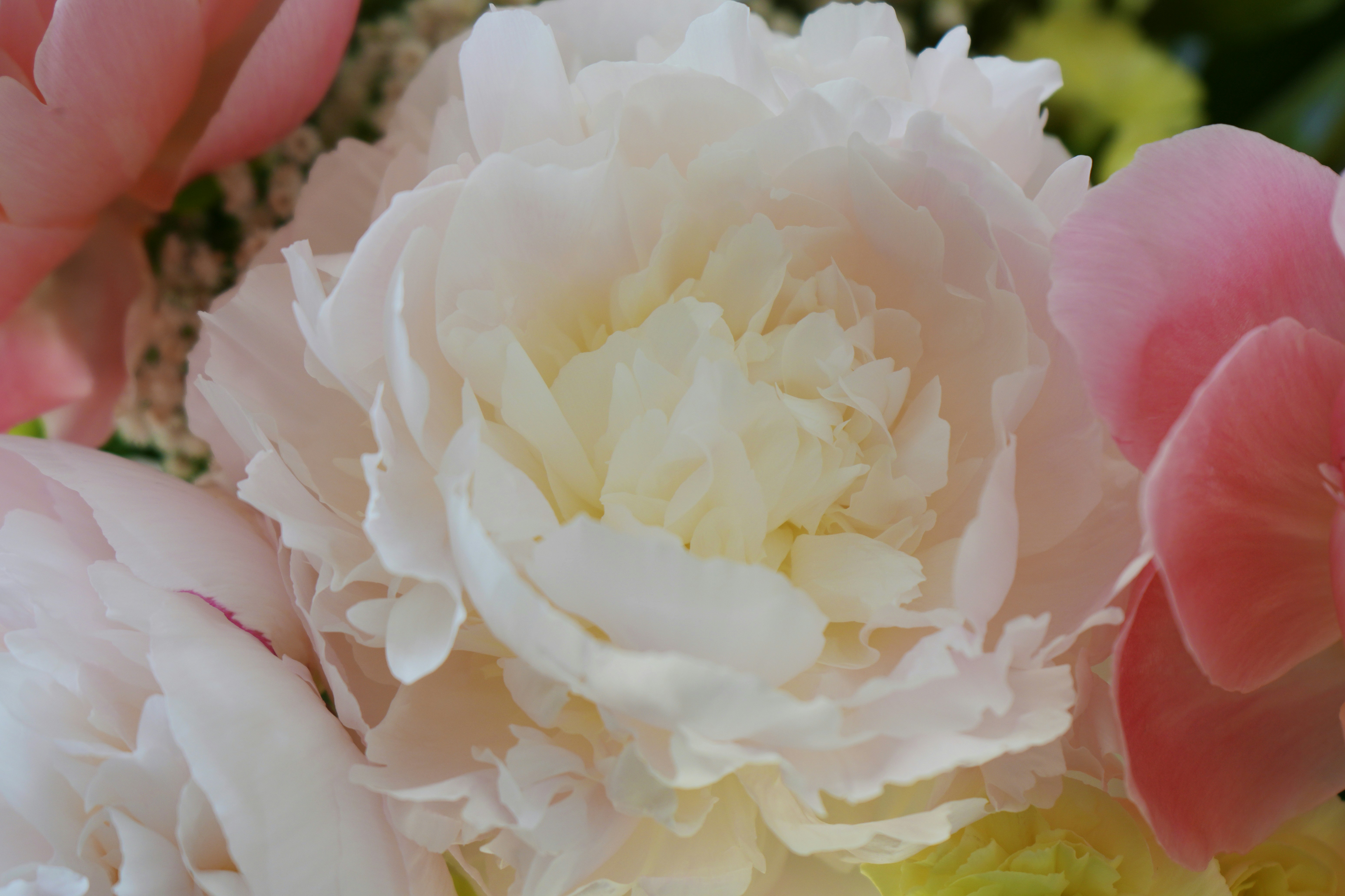 Photo by bee_balogun