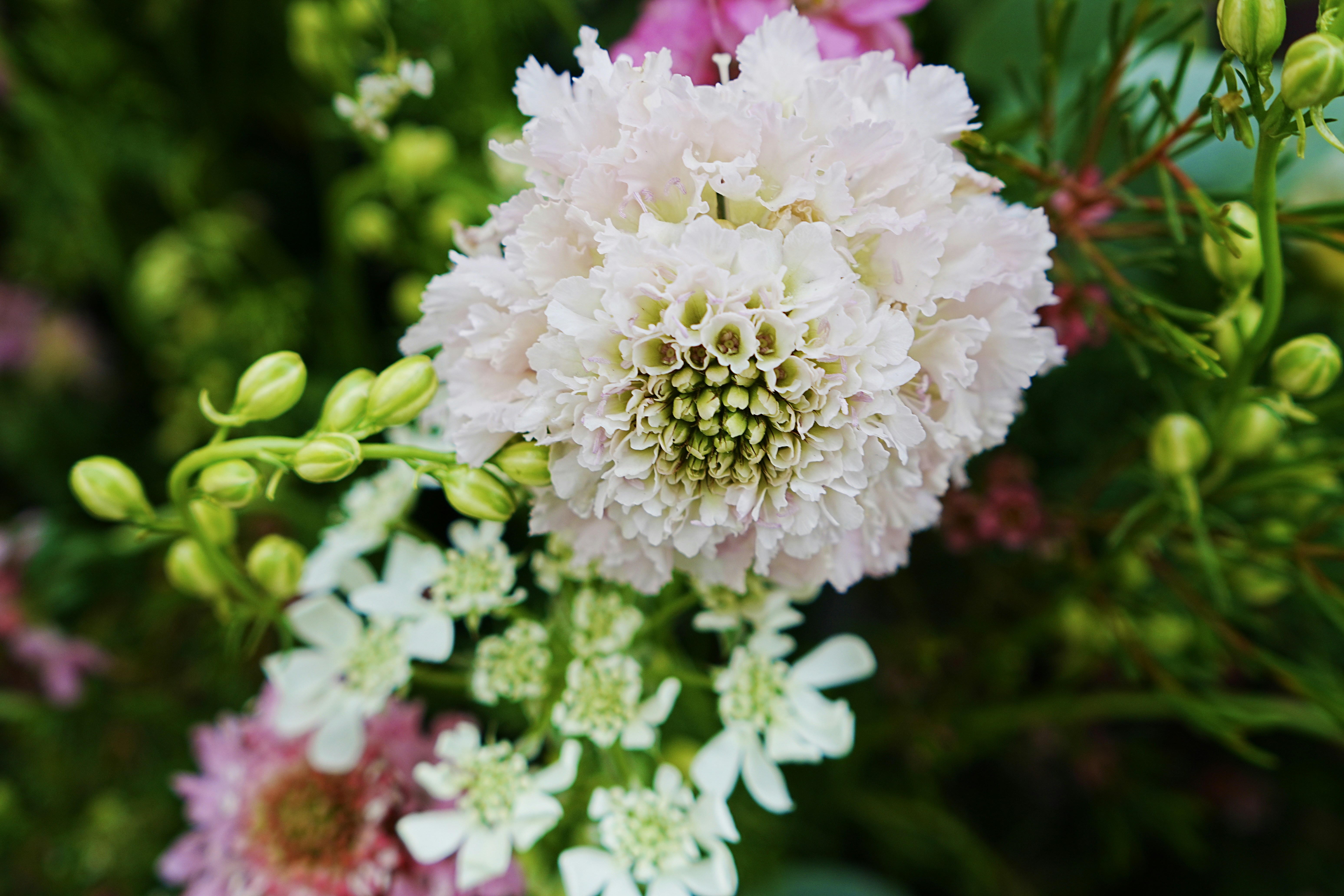 Photo by bee_balogun