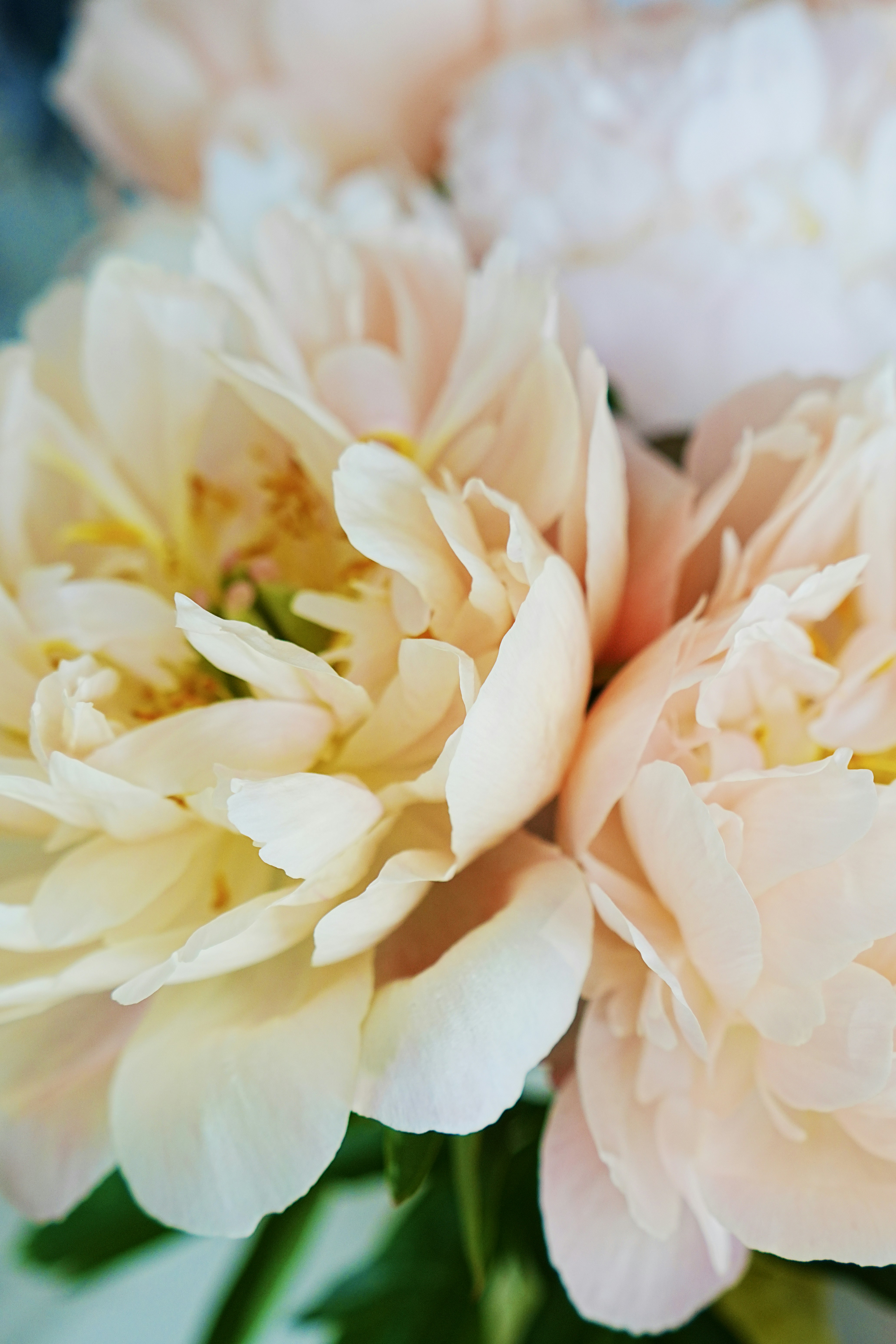 Photo by bee_balogun