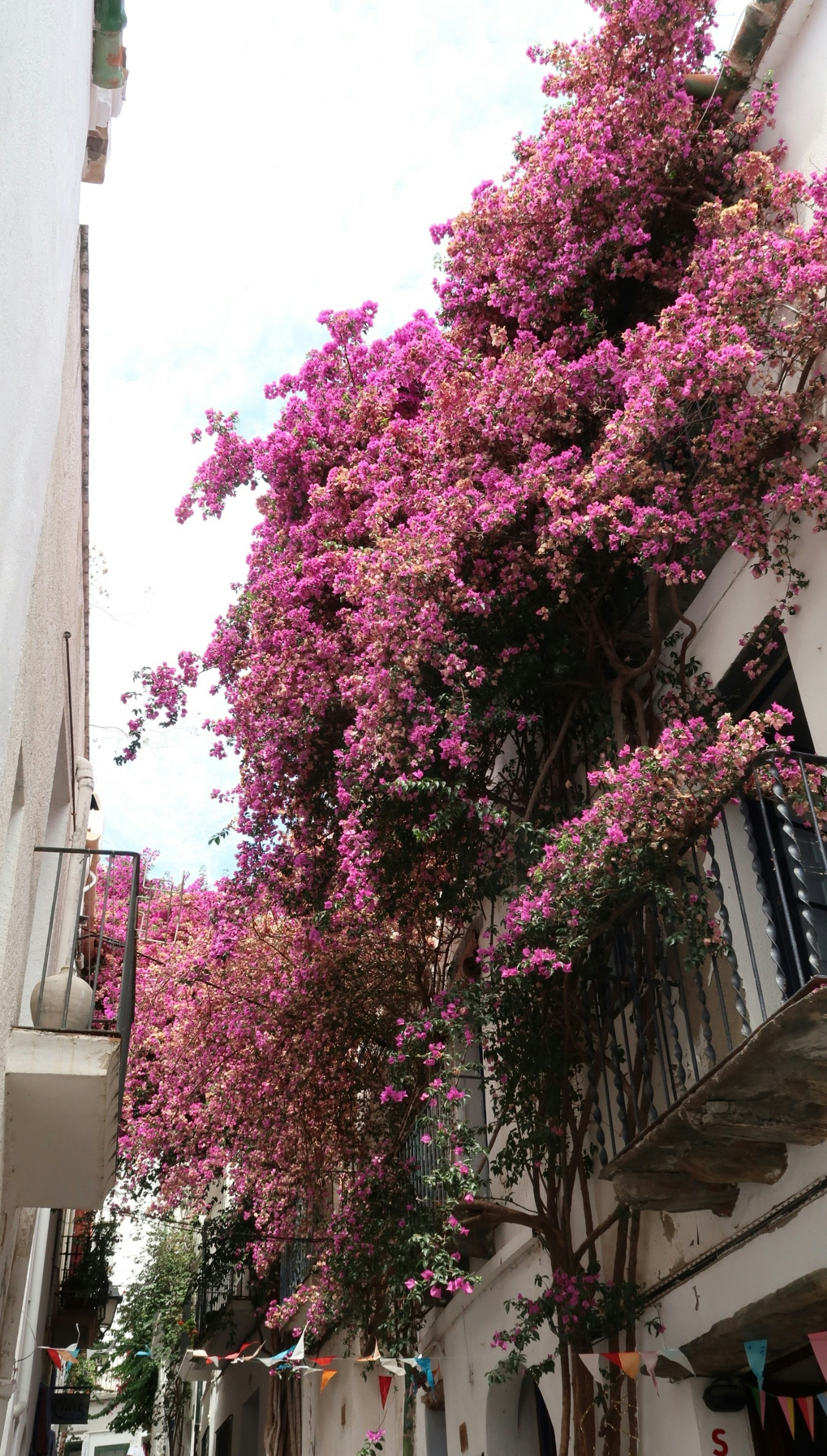 Photo by albacalbeto