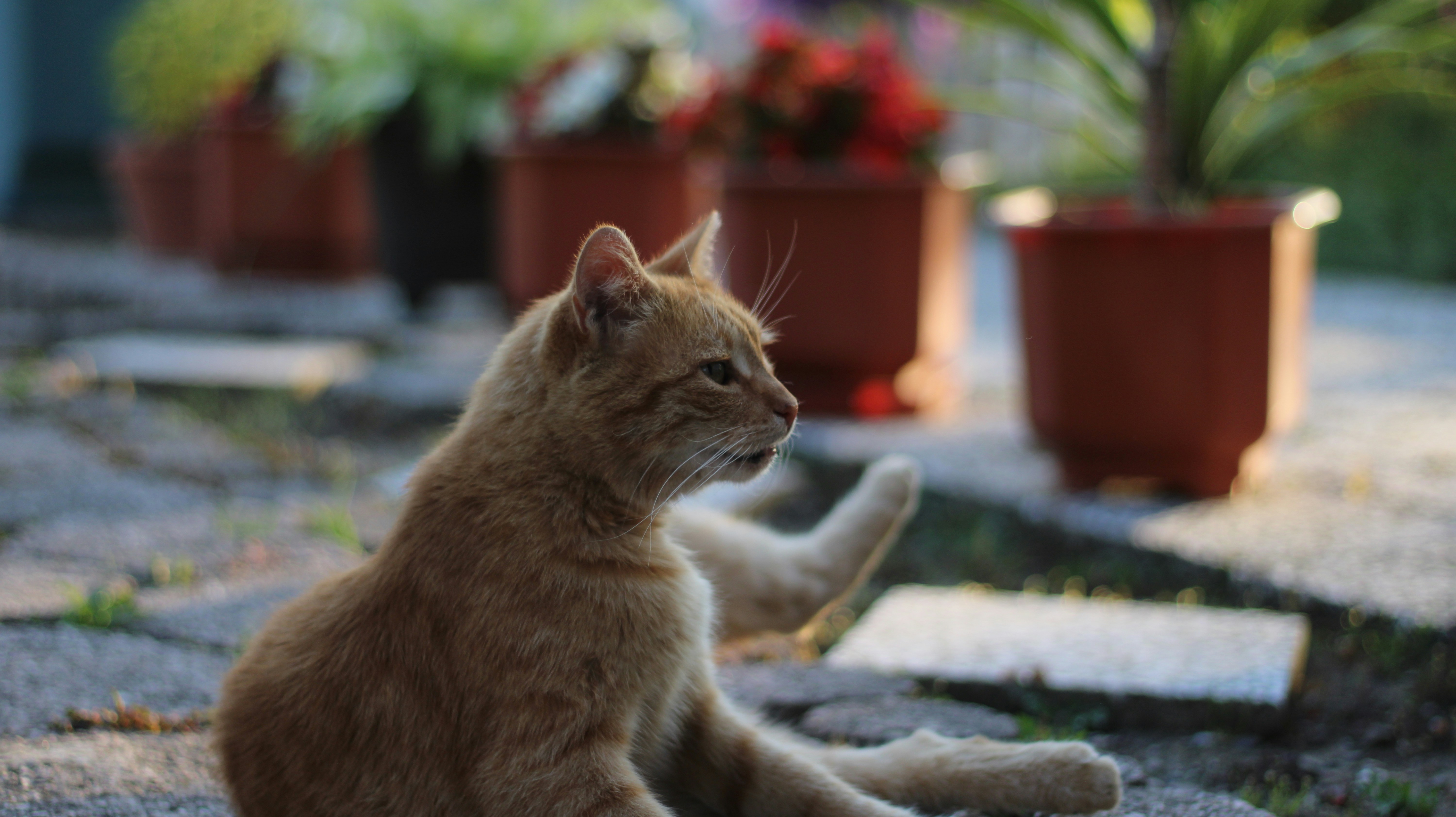 Town of Garfield, Wisconsin