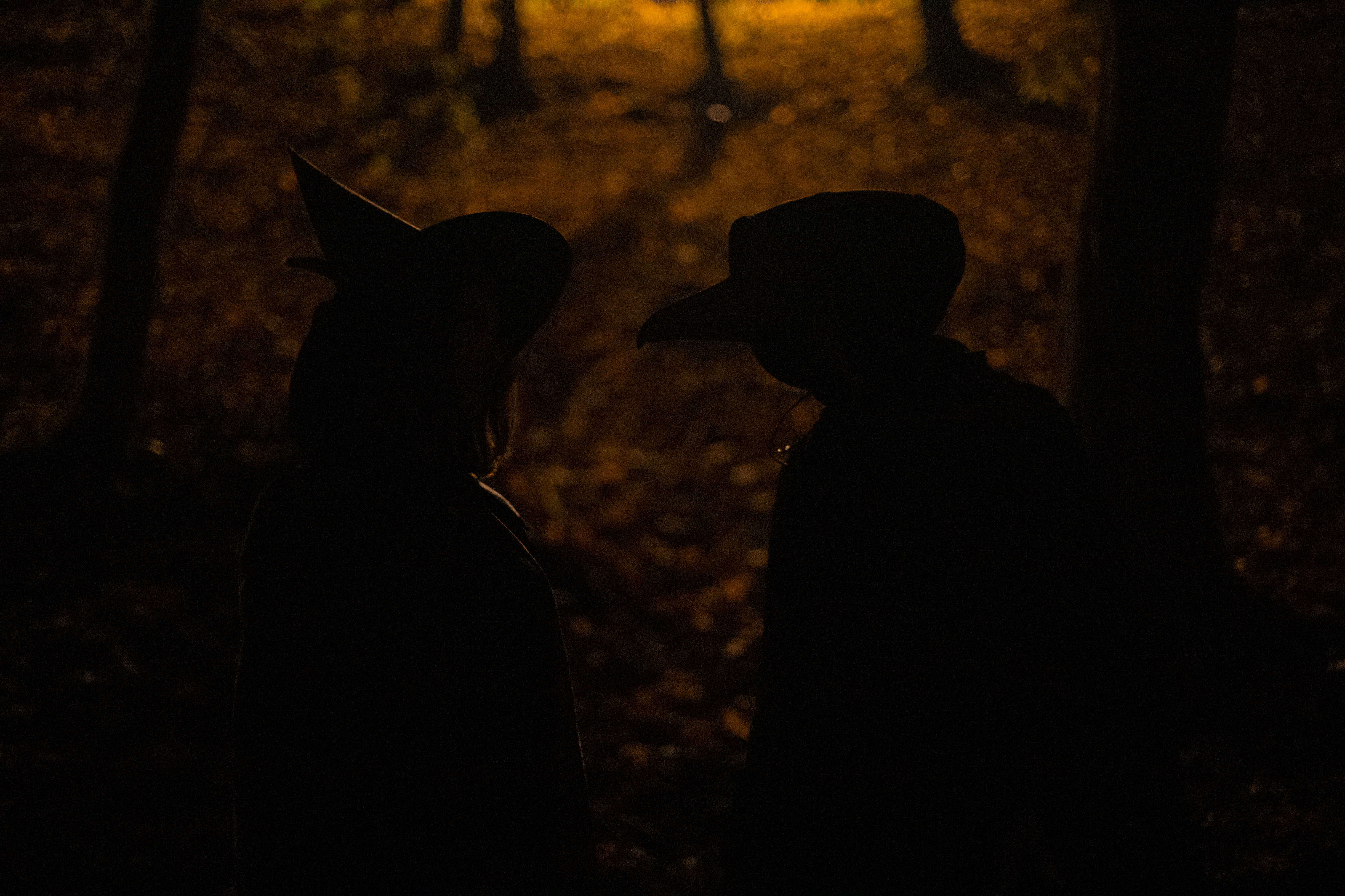 Two silhouetted figures in a dark forest