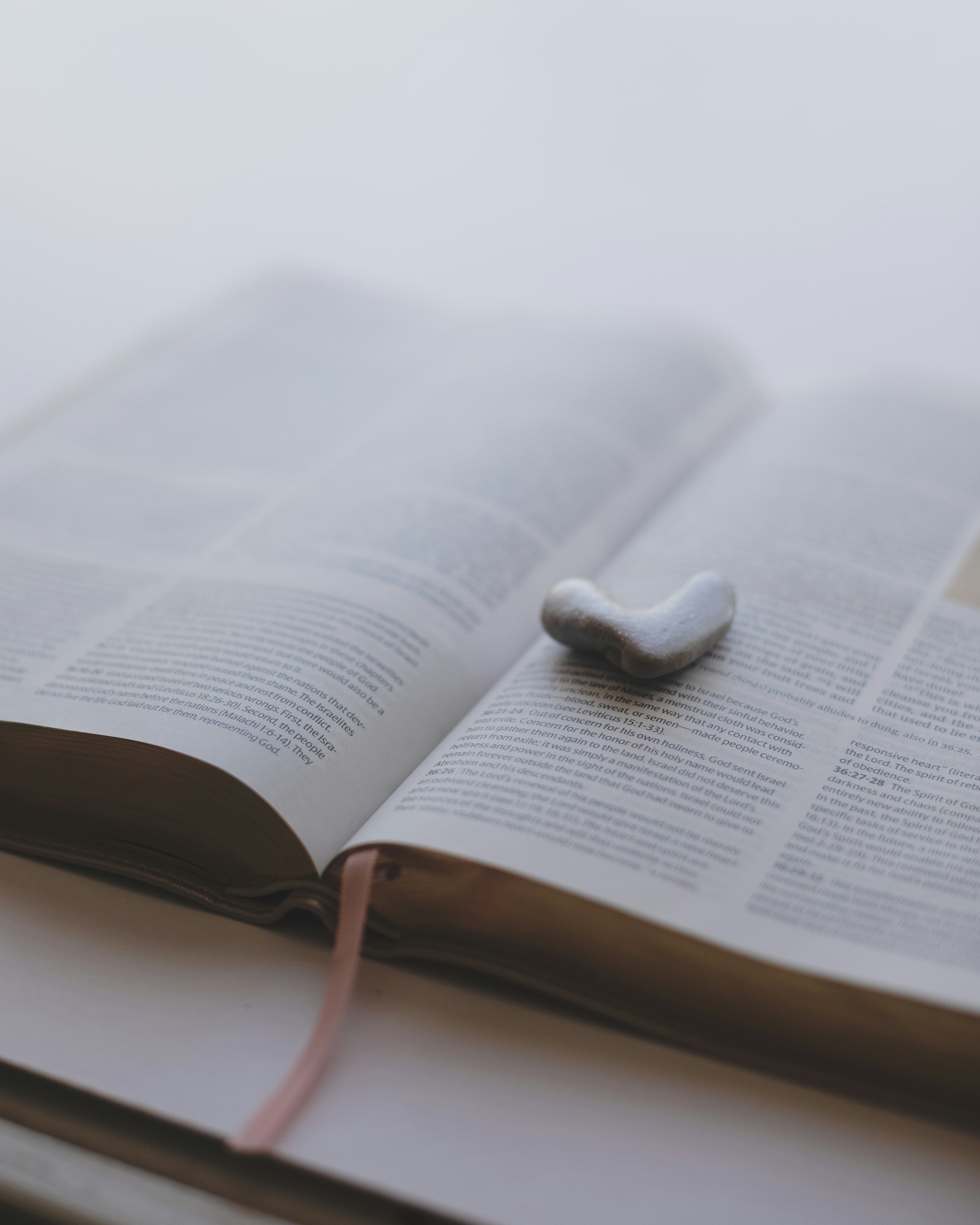 Photo by sixteenmilesout