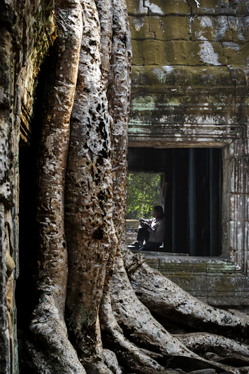 Person reading by ancient temple window with large tree roots