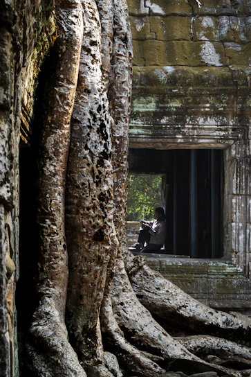 Person reading by ancient temple window with large tree roots