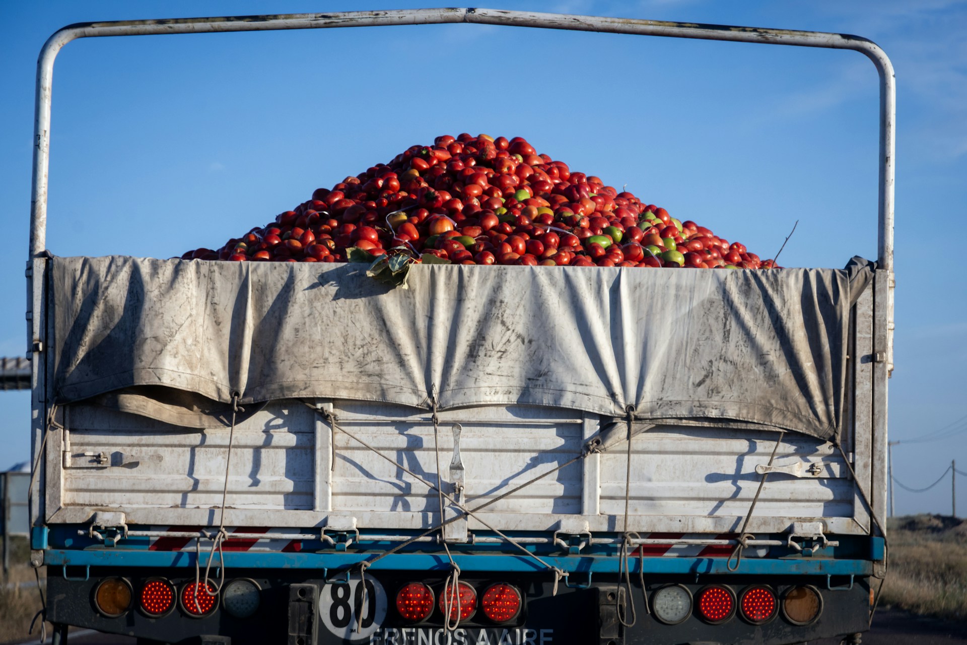 Truck loaded with fresh tomatoes under blue sky