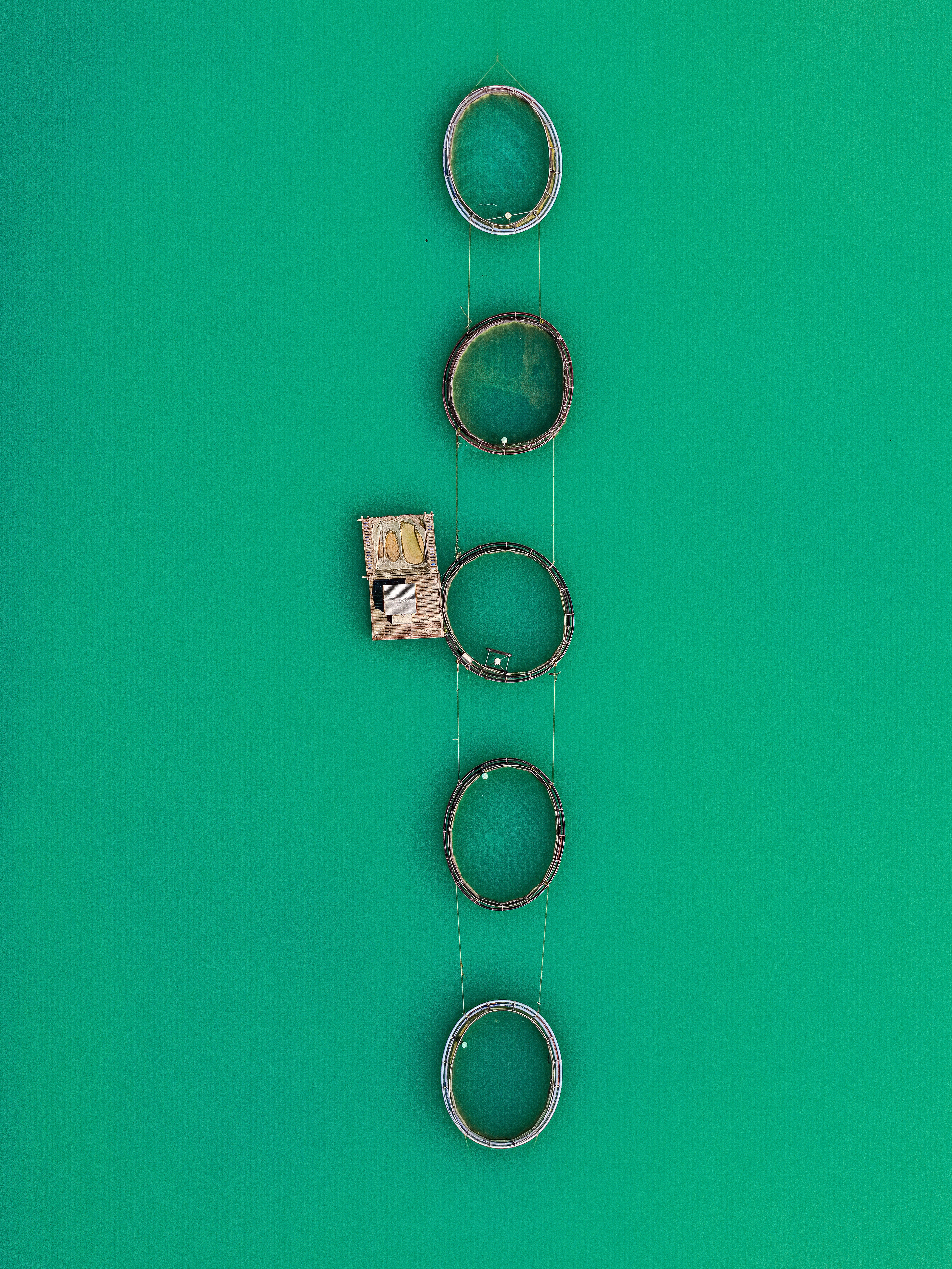 Image related to Jewellers - Simpo