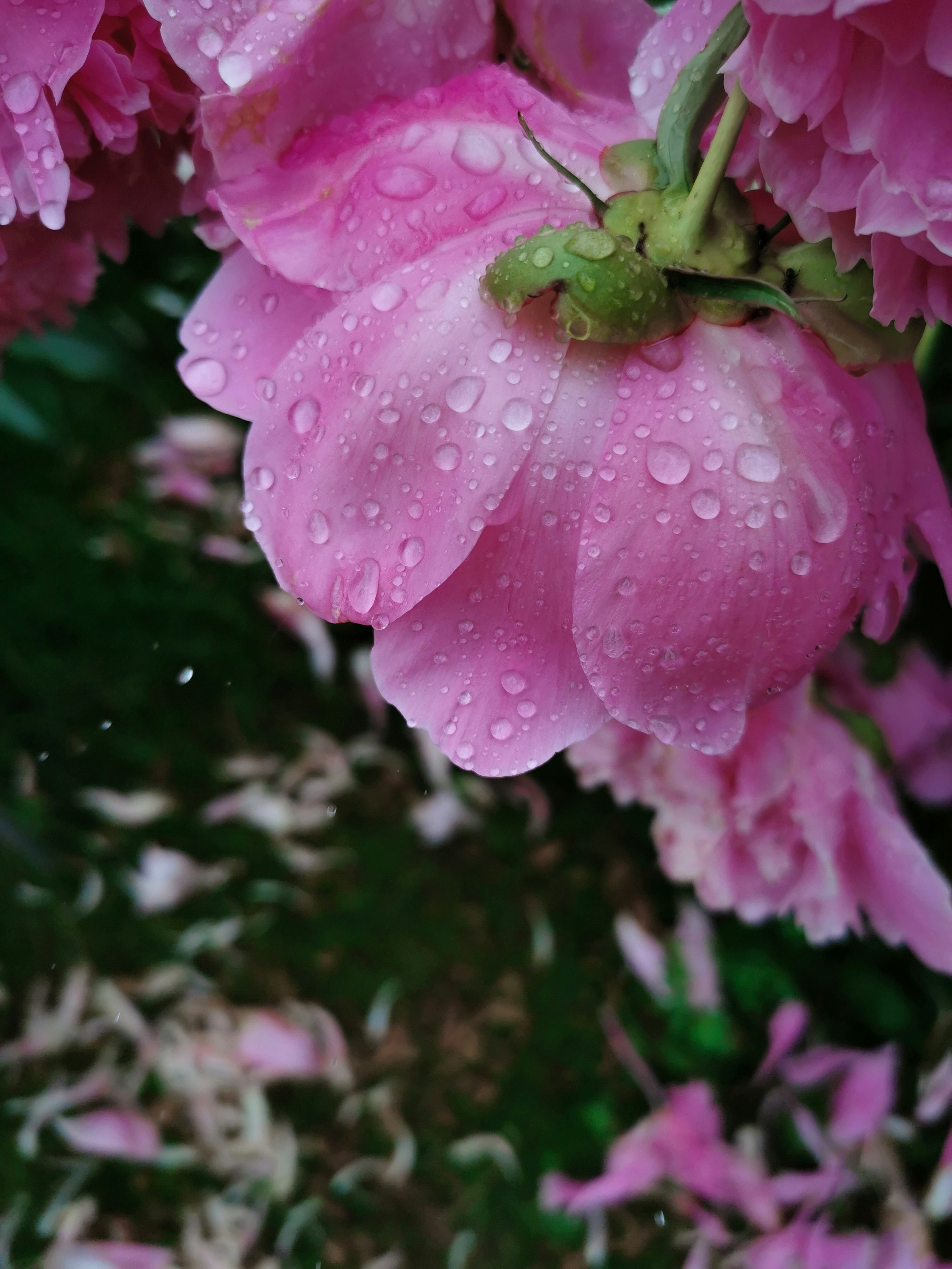 Photo by ann_integra