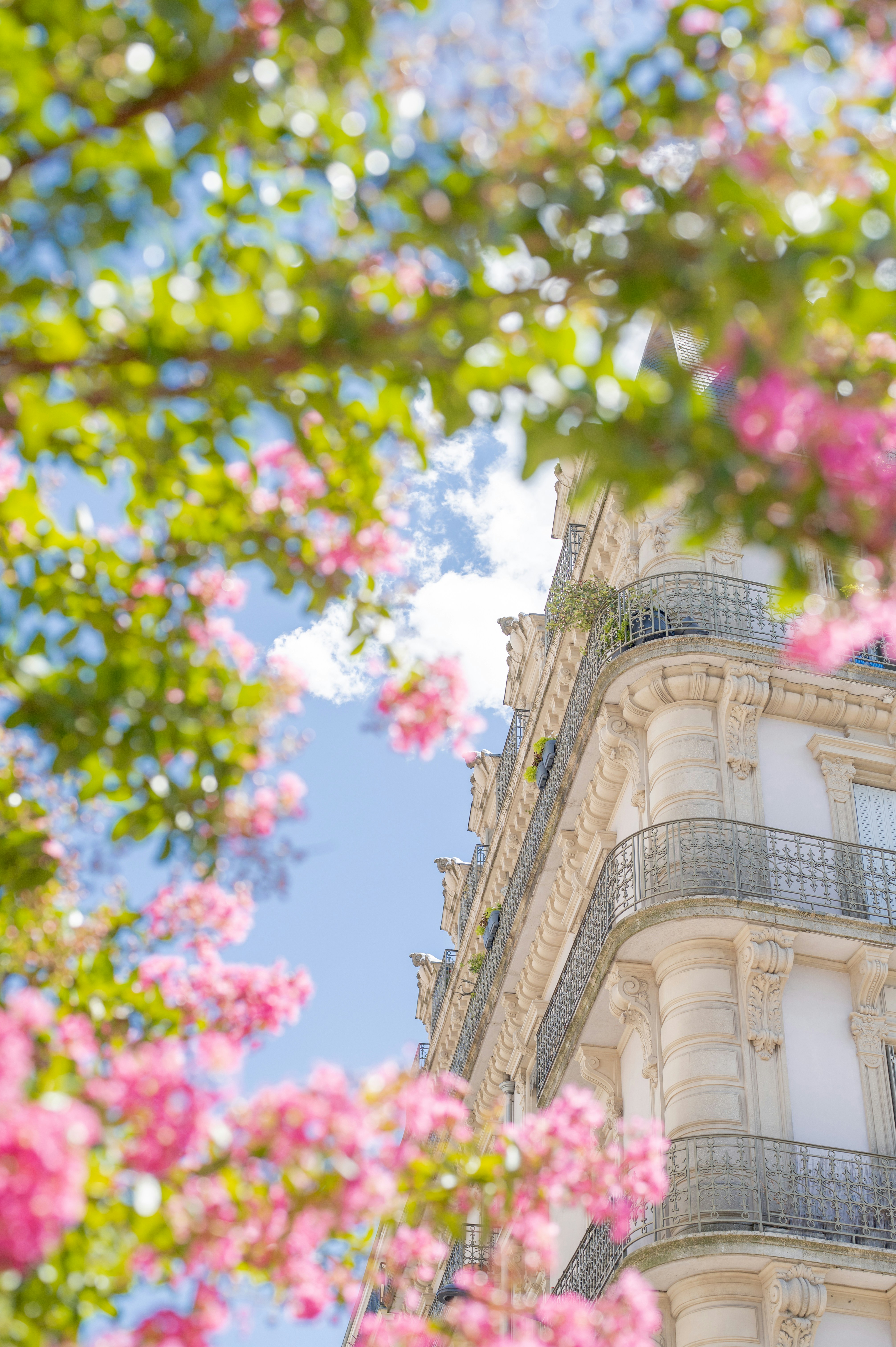 Photo by melanieweidmann_photography