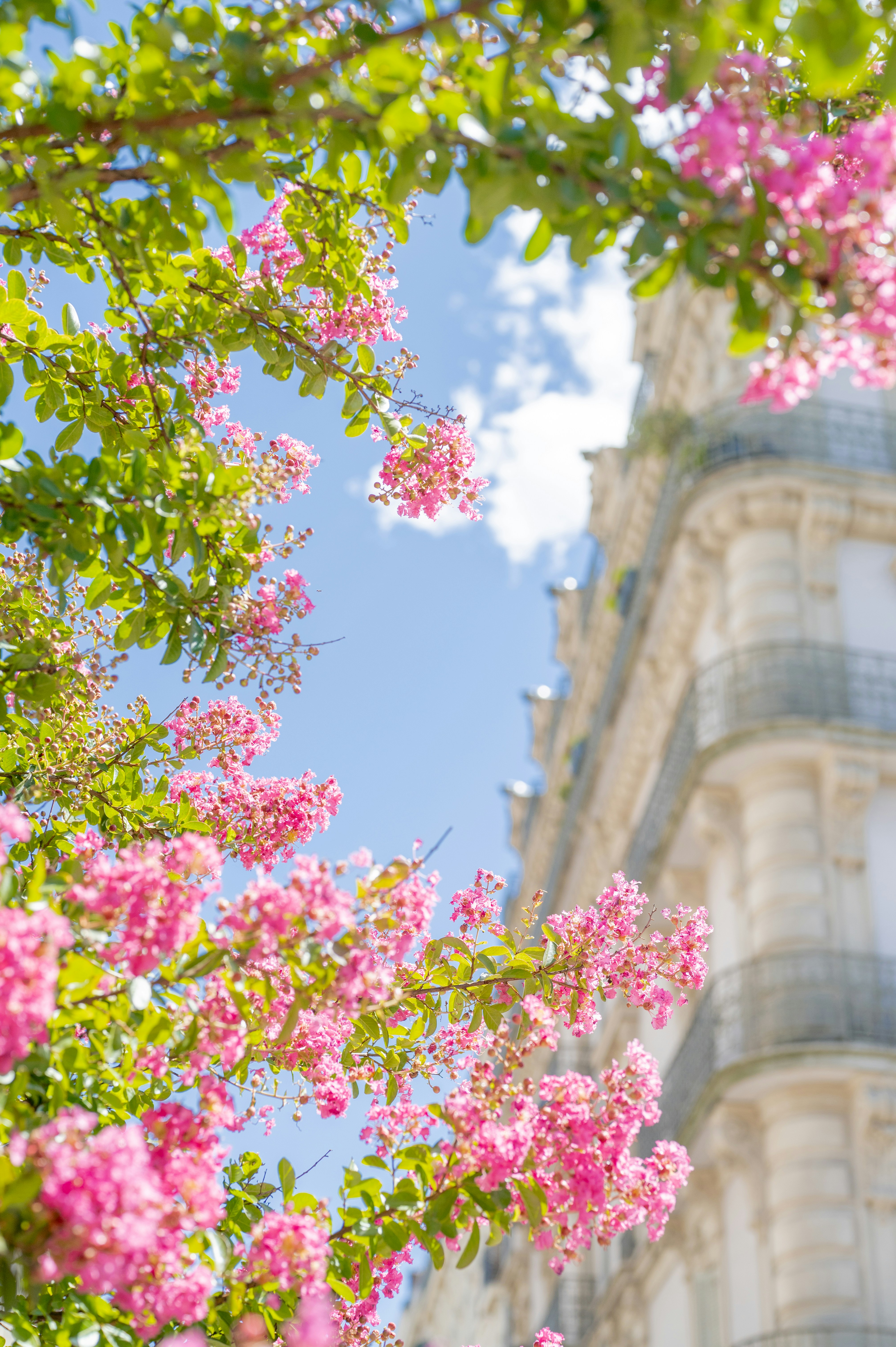 Photo by melanieweidmann_photography