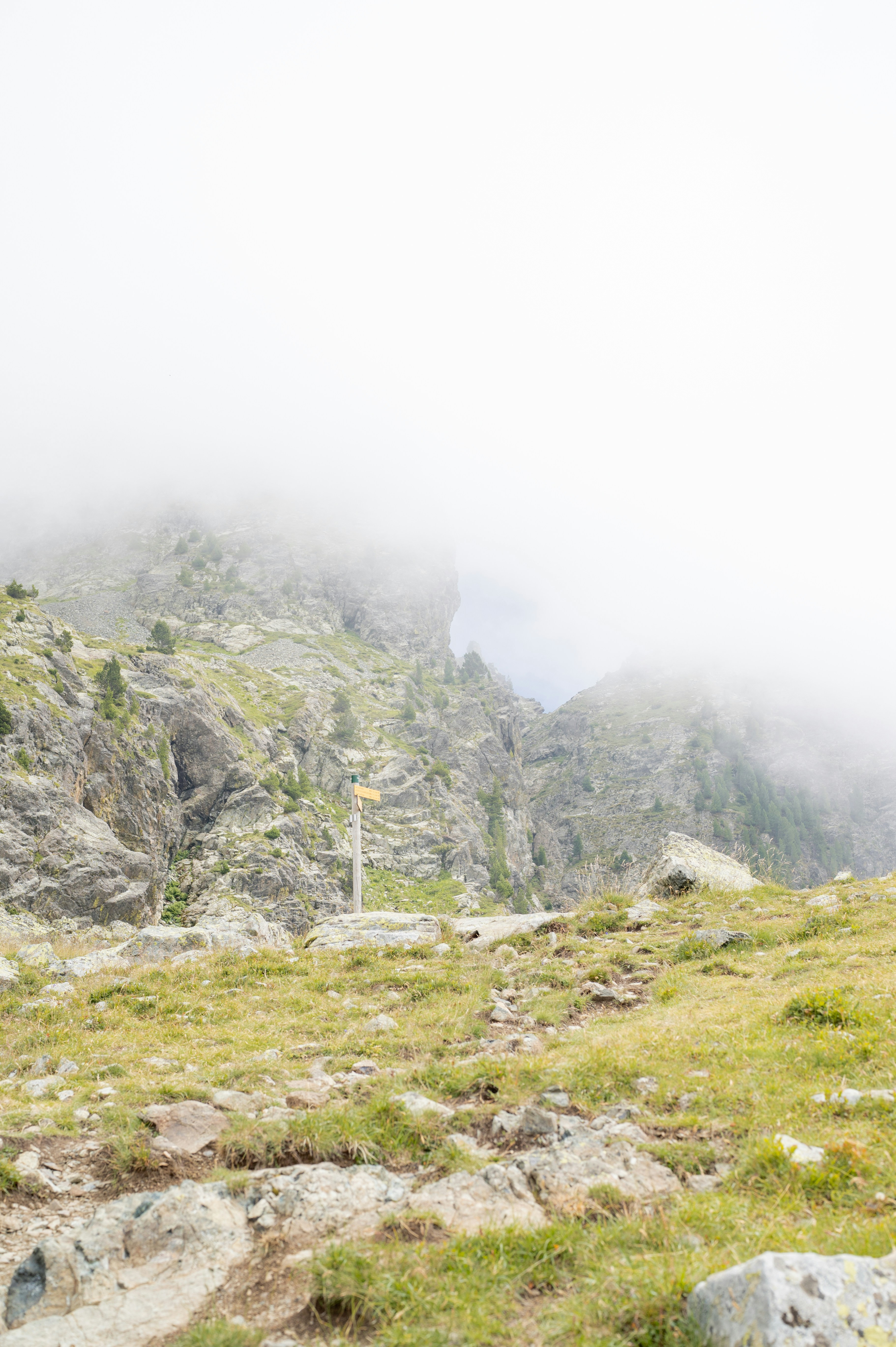 Photo by melanieweidmann_photography