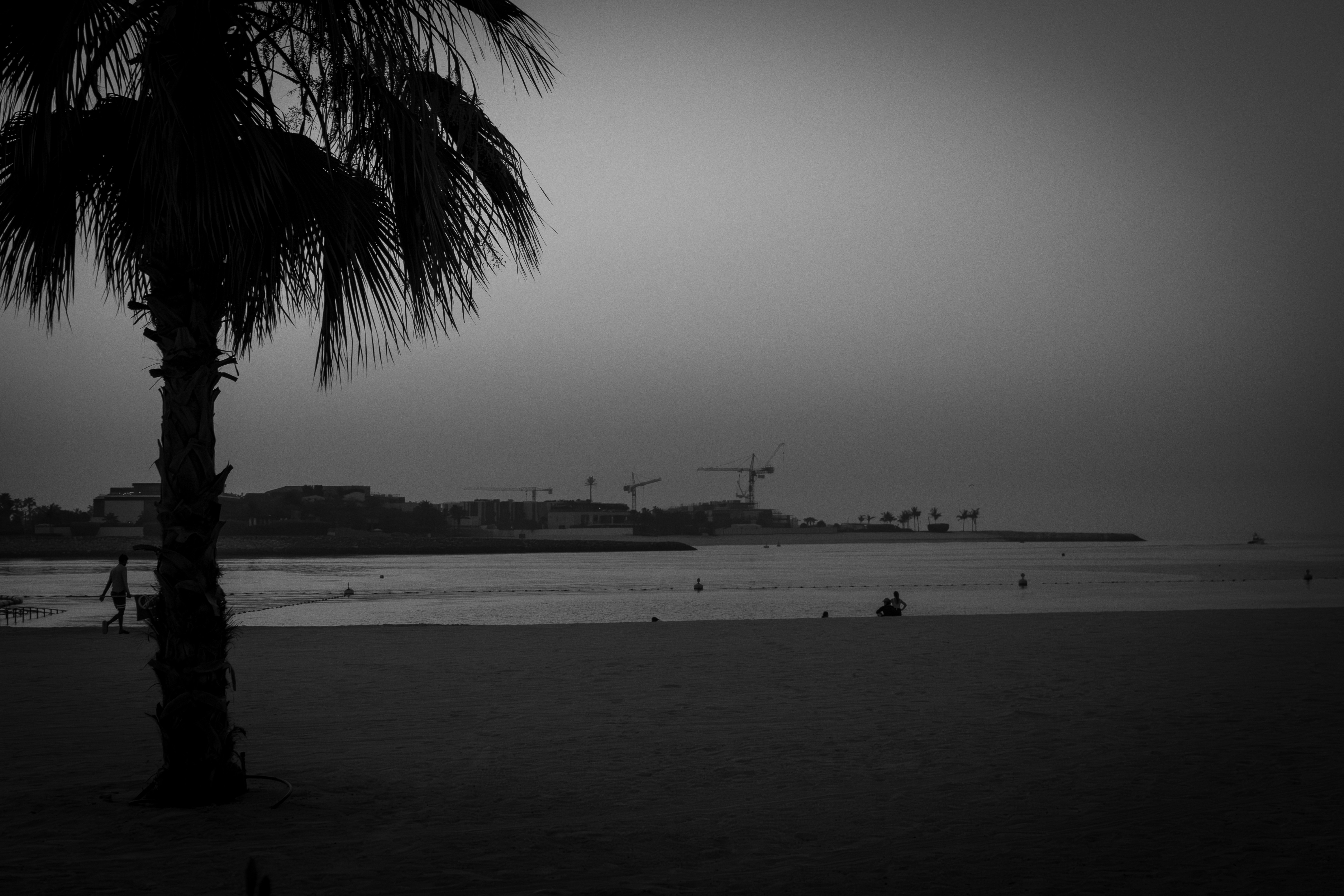 Photo by arinmelikyan