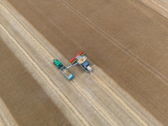 Tractor and seeder working in a harvested wheat field.