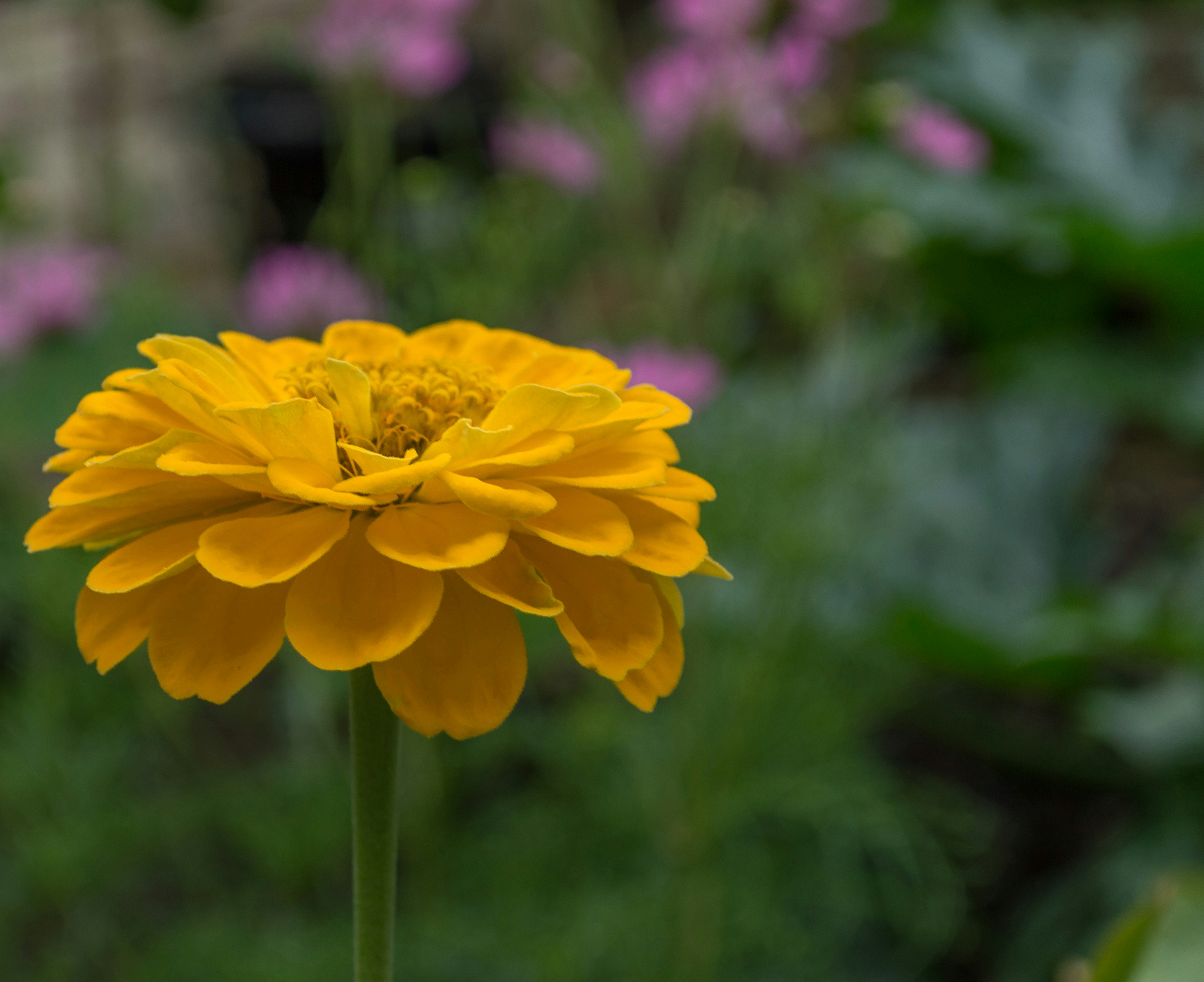 Photo by aaronmridhaphotography