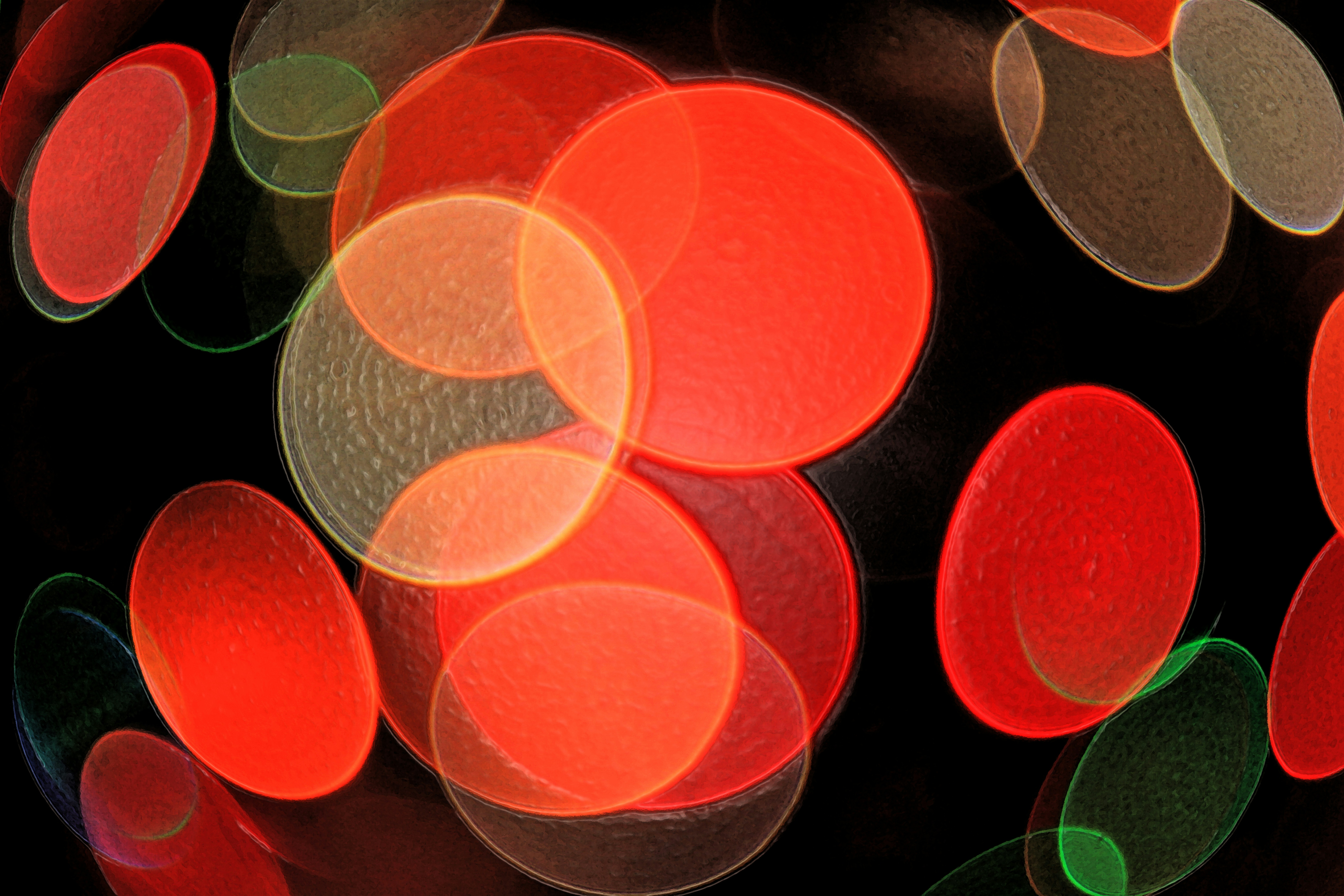 Photo by john_cardamone