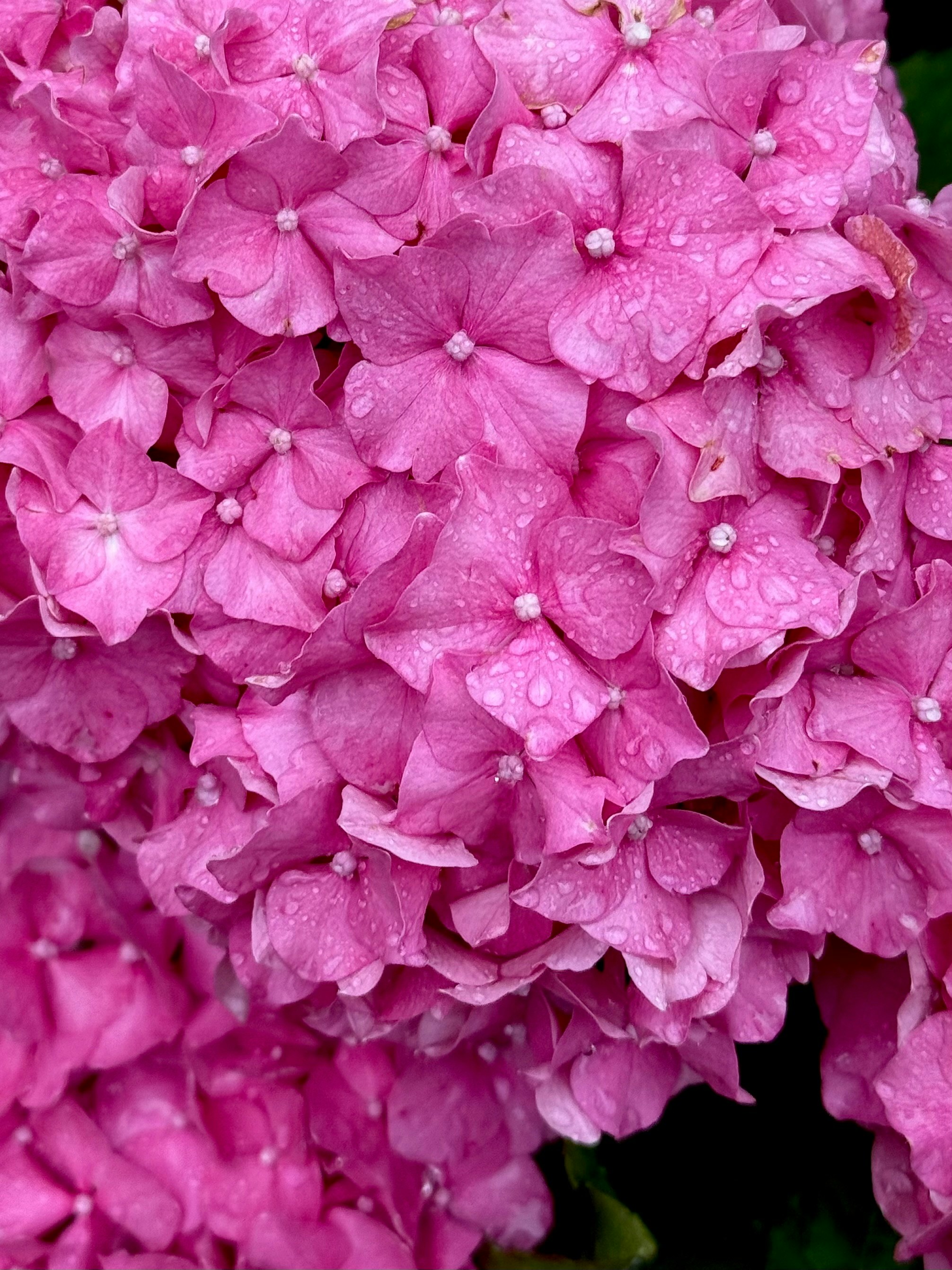 Photo by indi_grunge