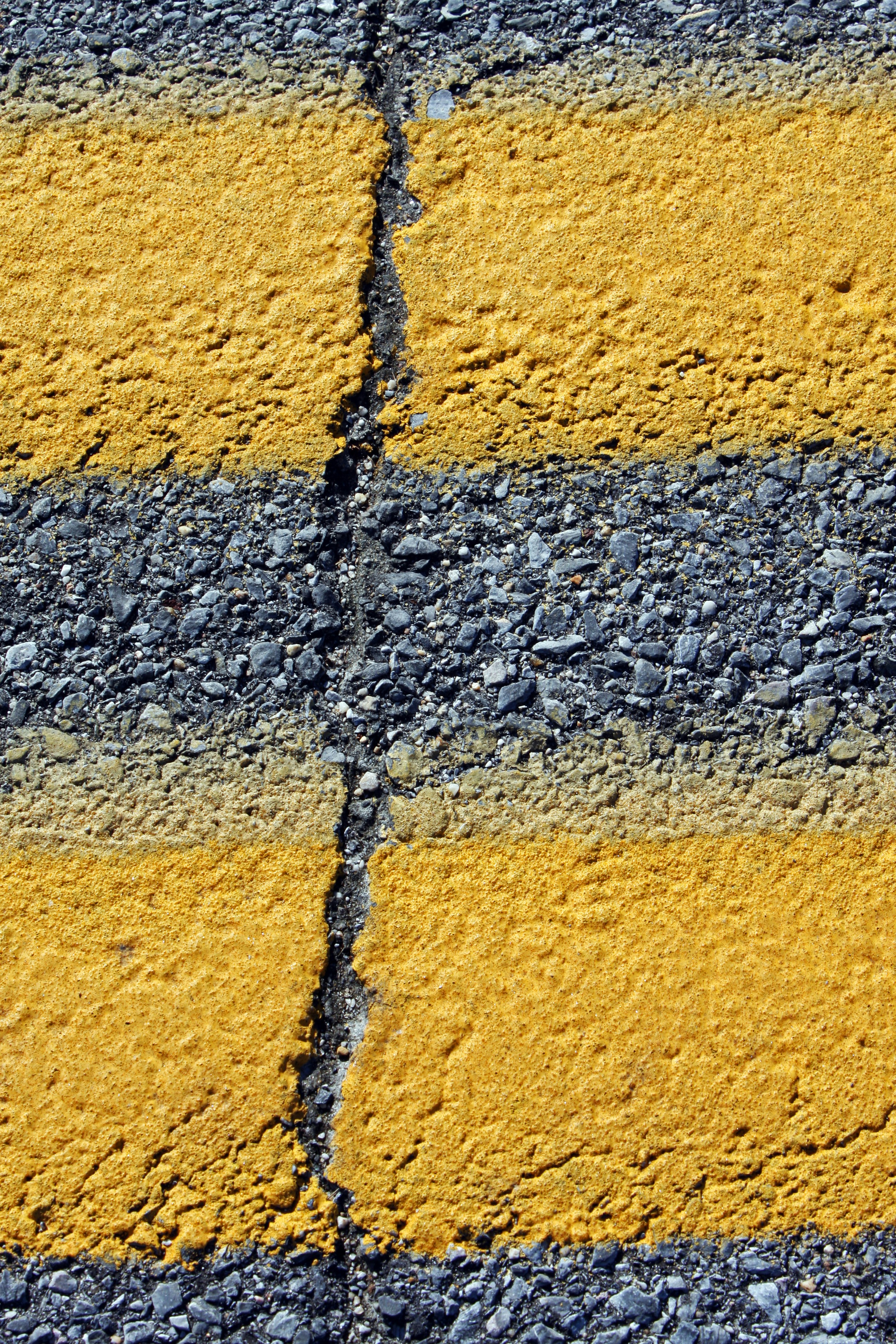 Photo by john_cardamone