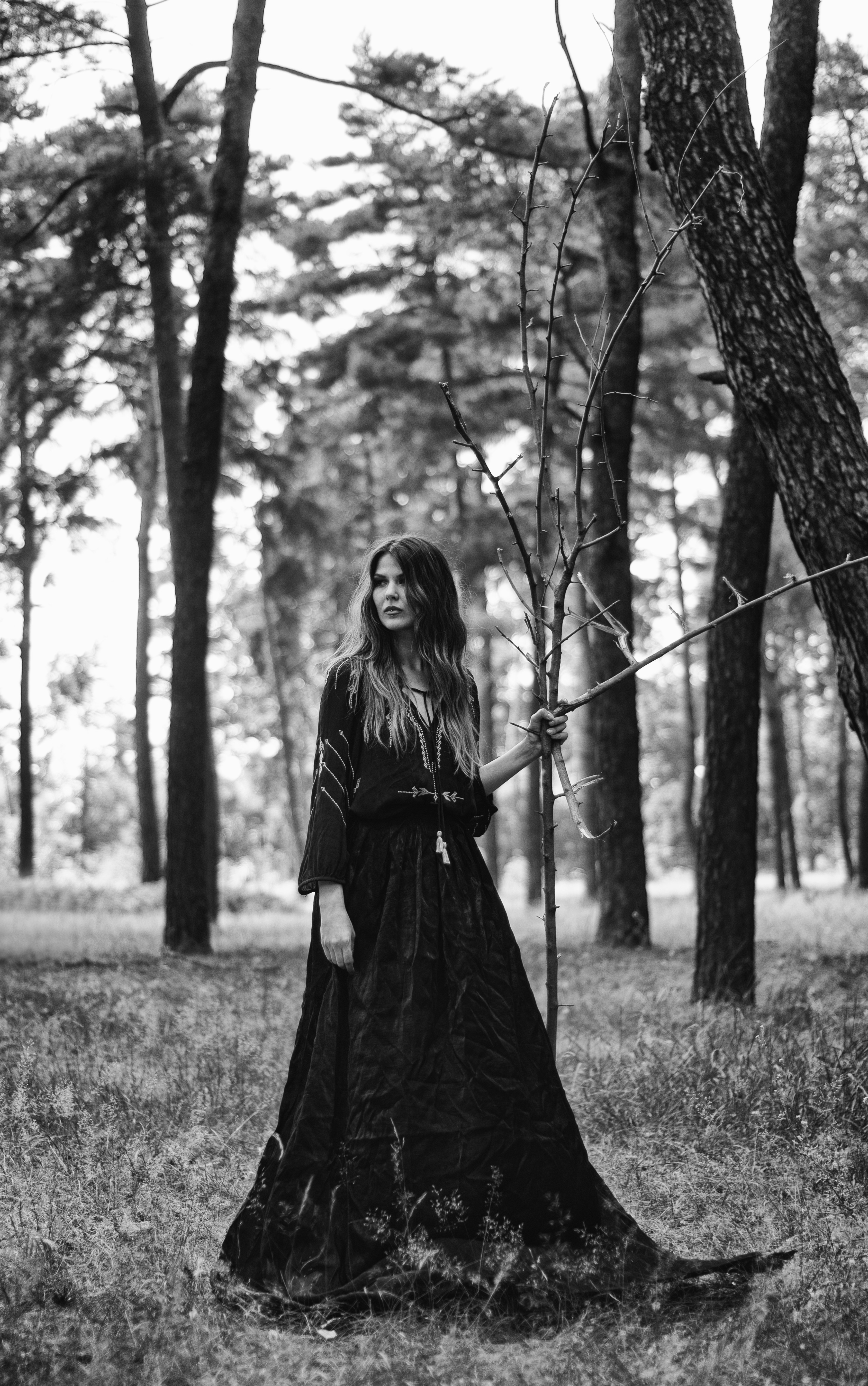 Photo by vitaliyshev89