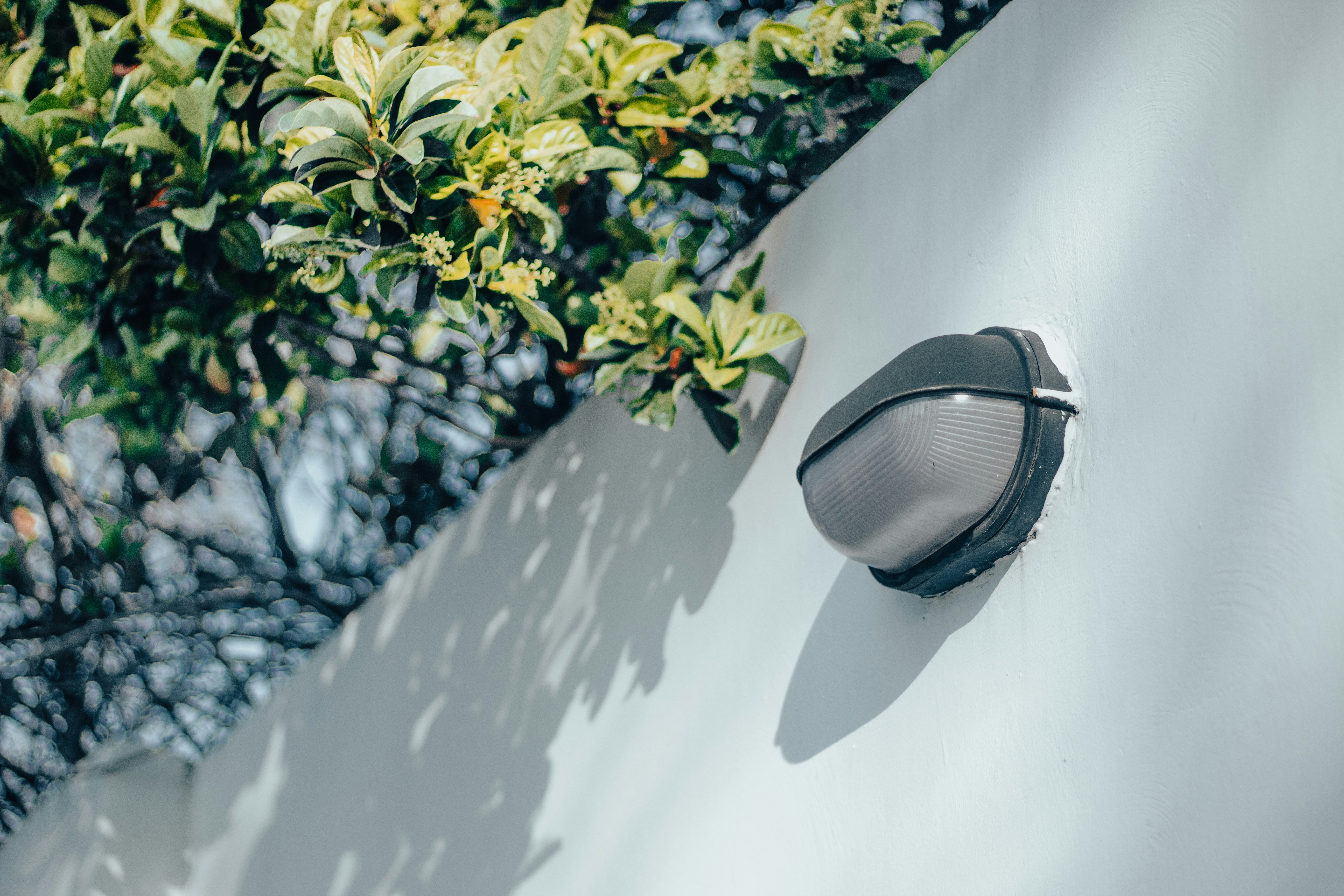 Toyota Camry Solara 상세