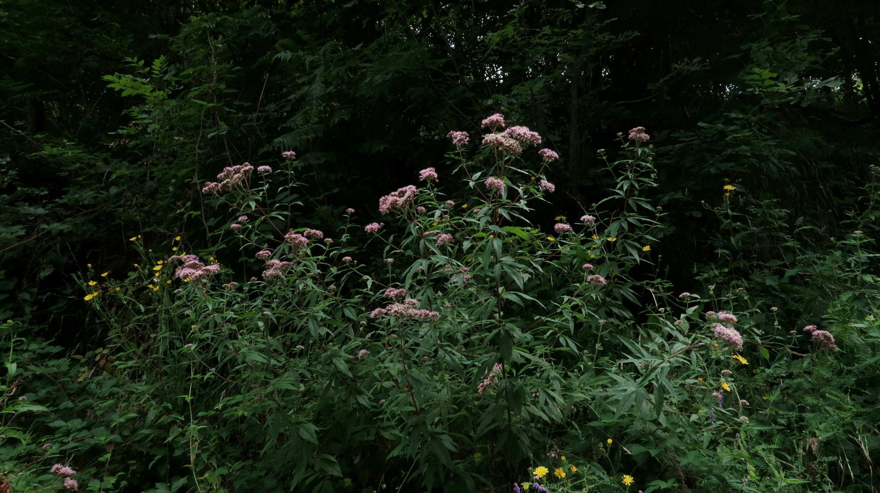 Photo by albacalbeto