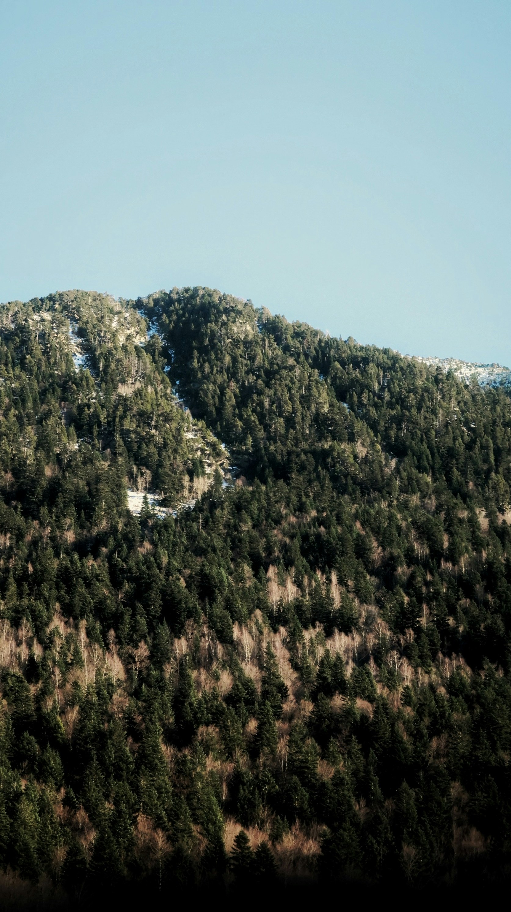 Photo by albacalbeto