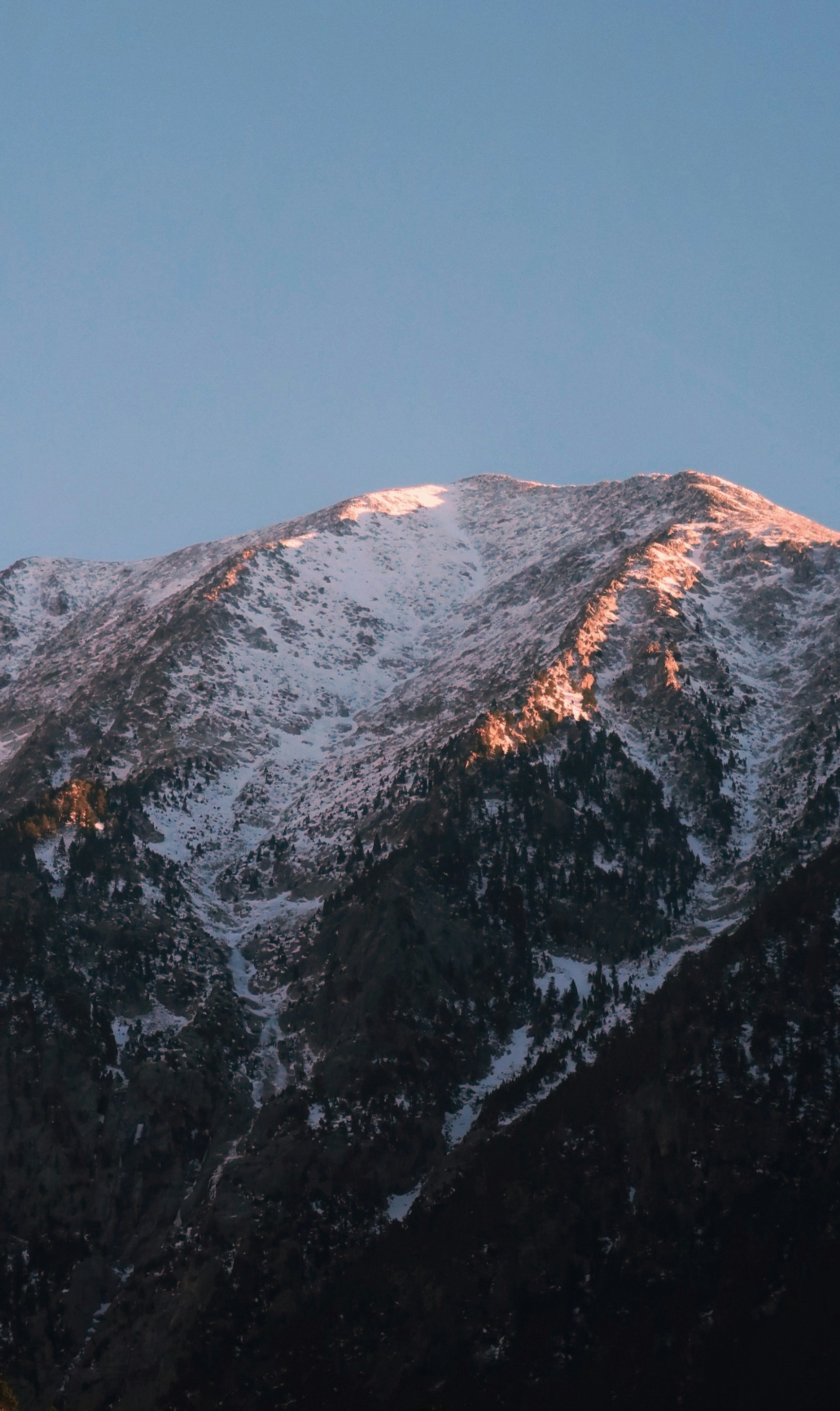 Photo by albacalbeto