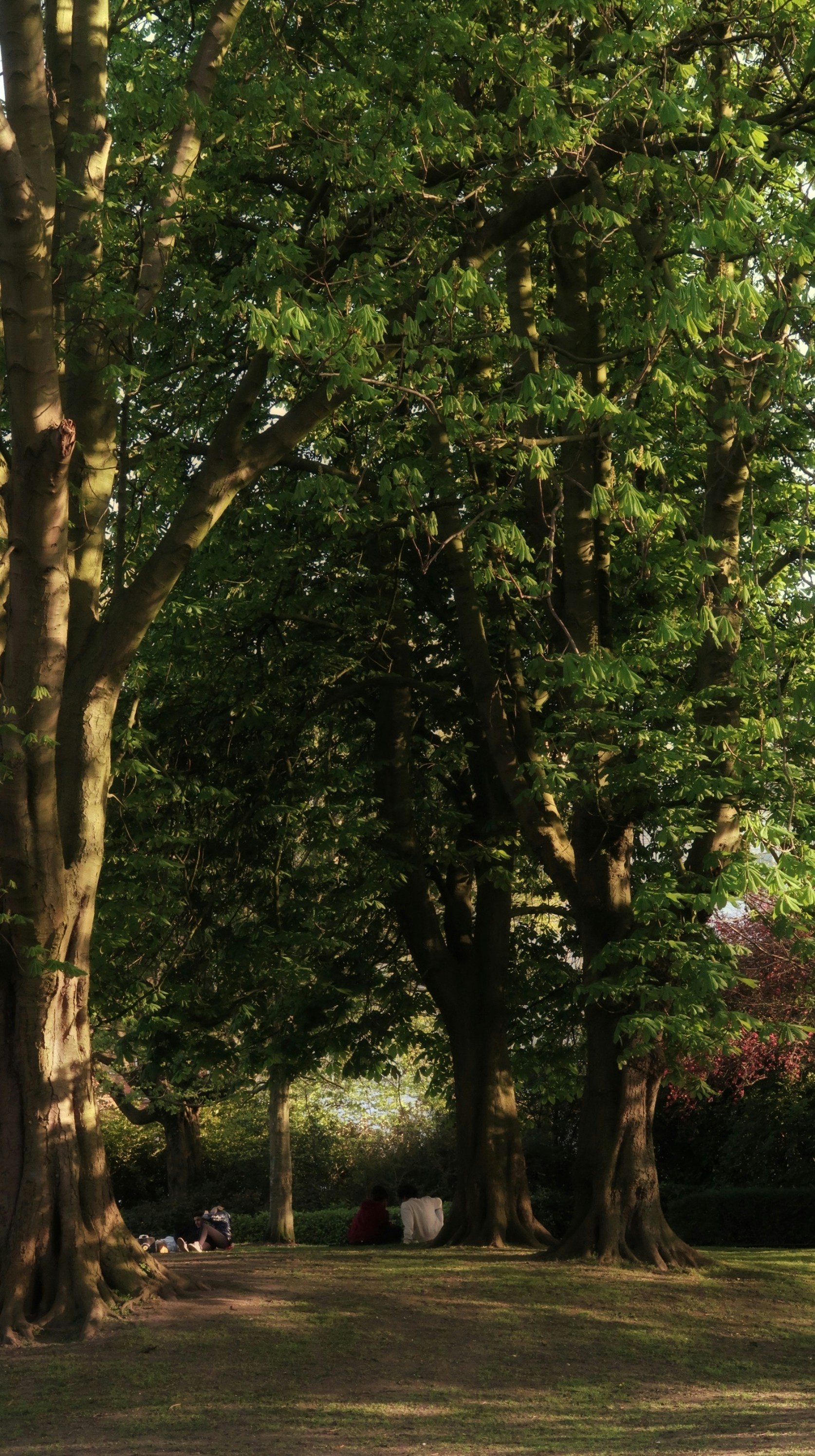 Photo by albacalbeto