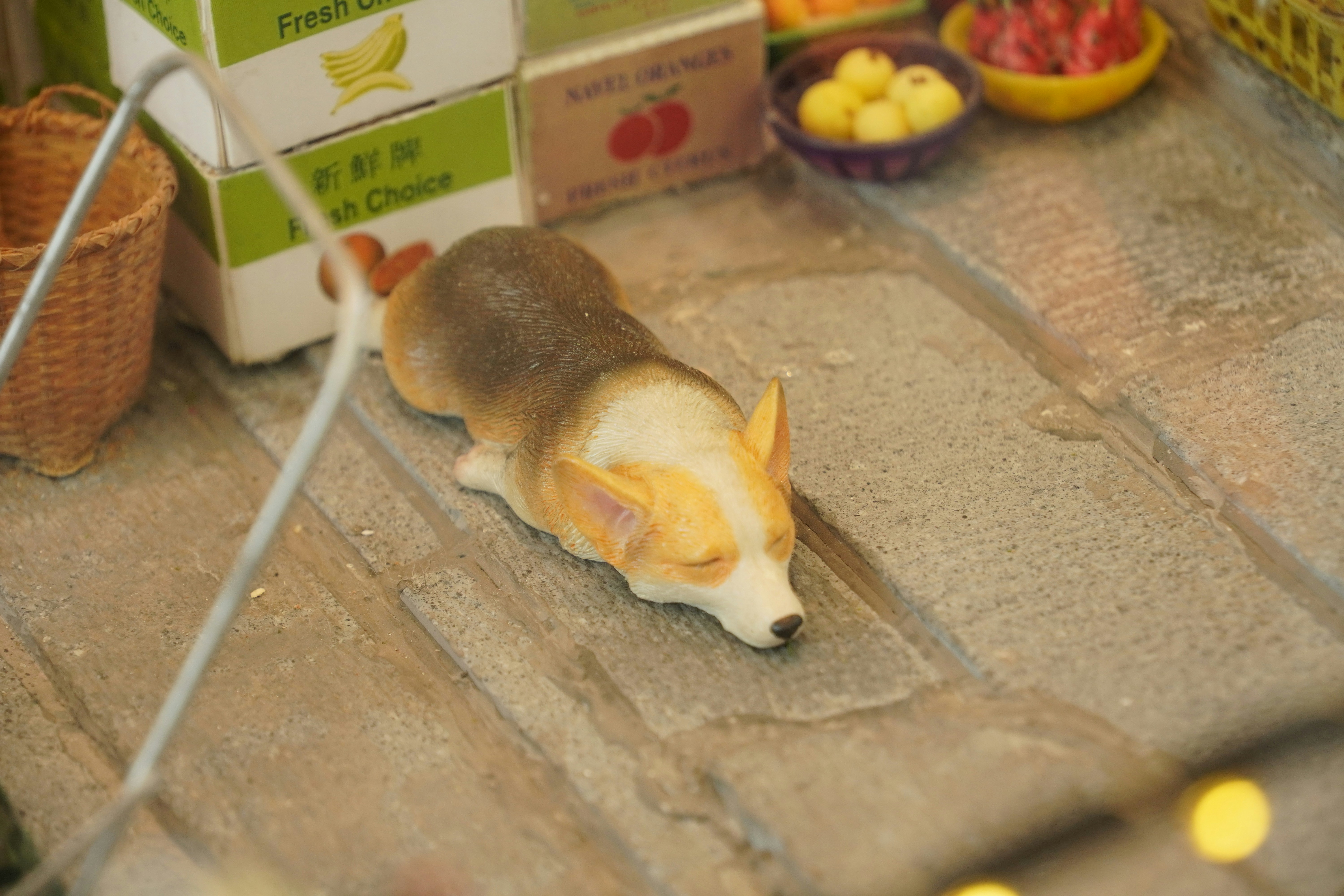 Pet grooming essentials