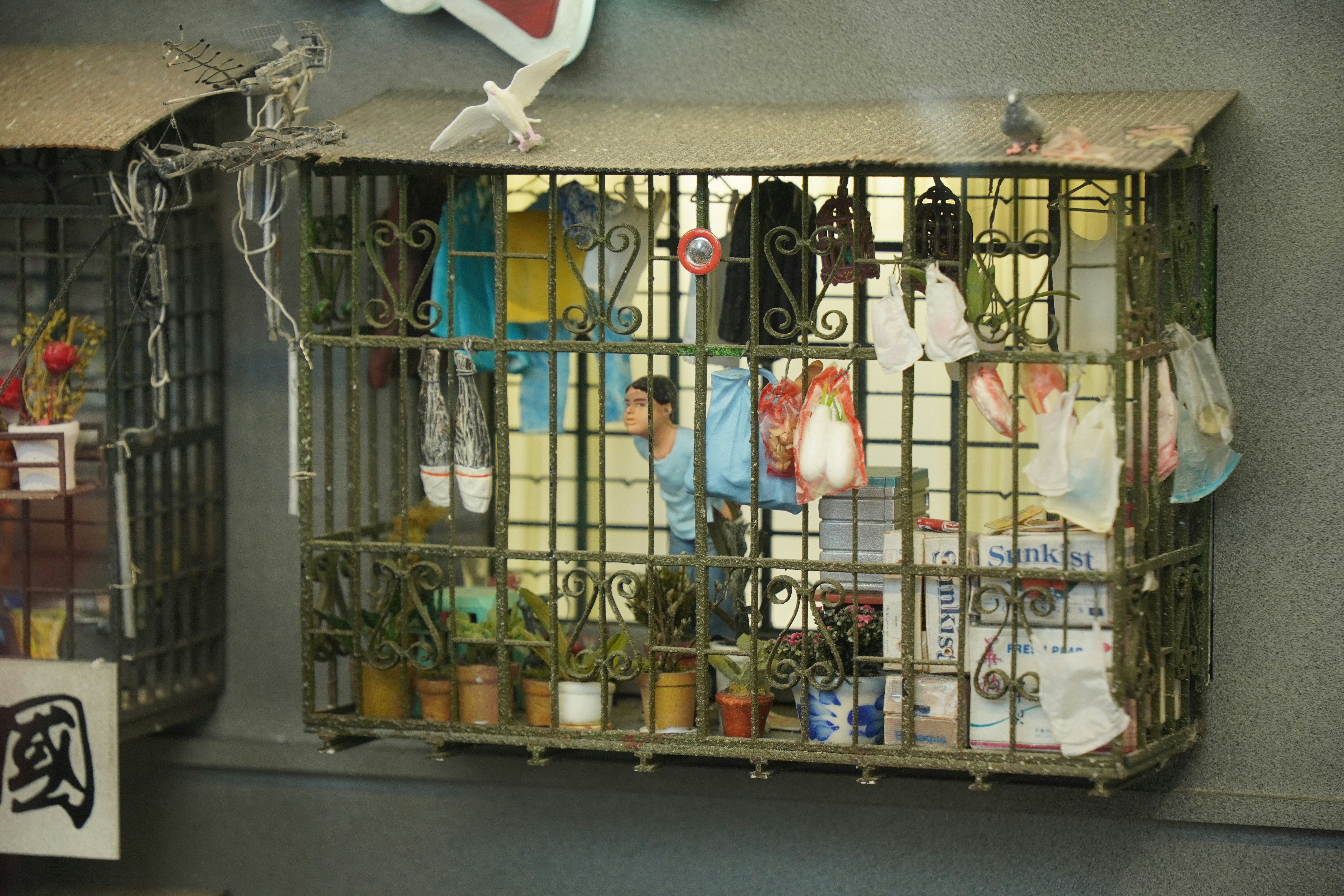 Pet supplies display