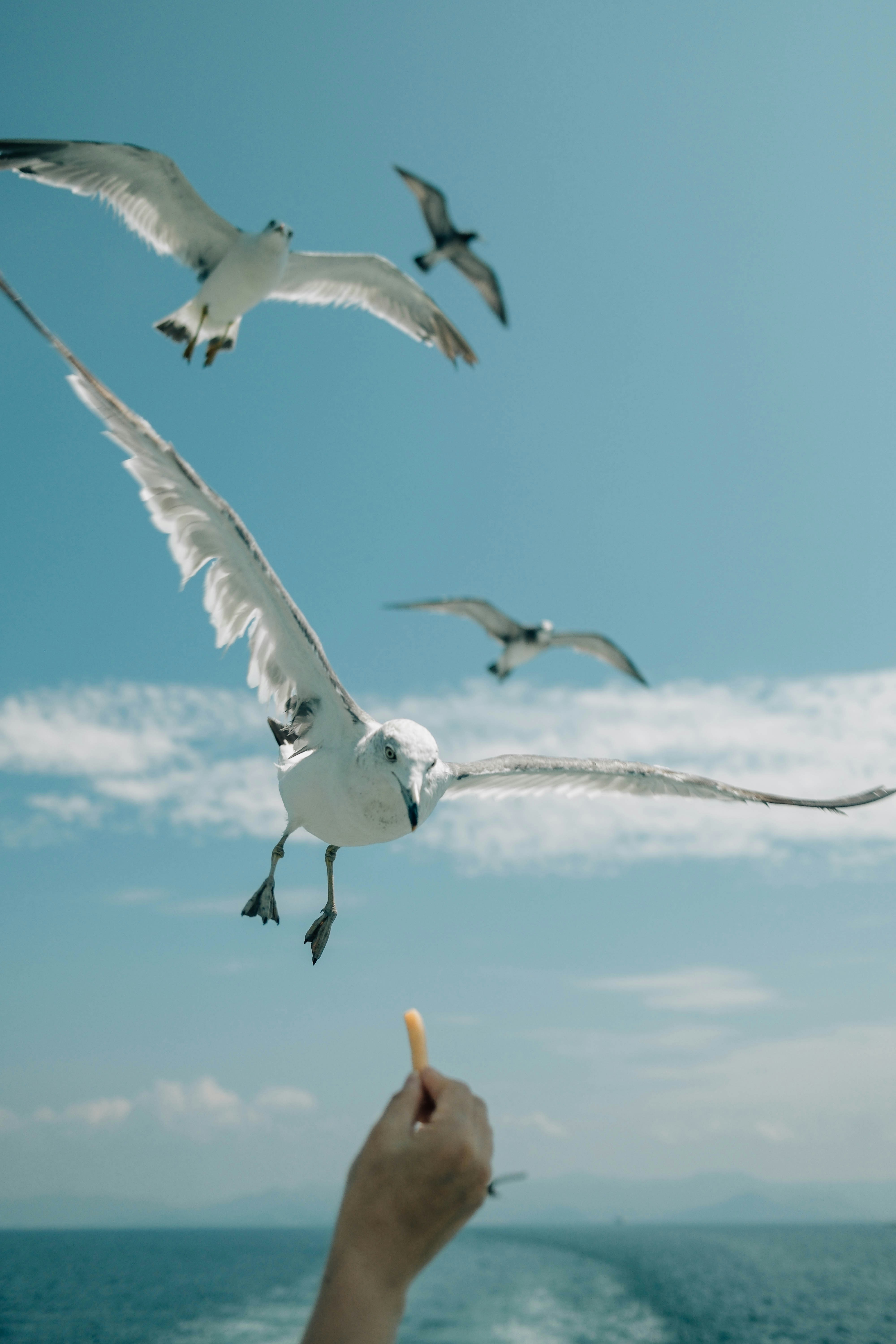 Photo by insungpandora