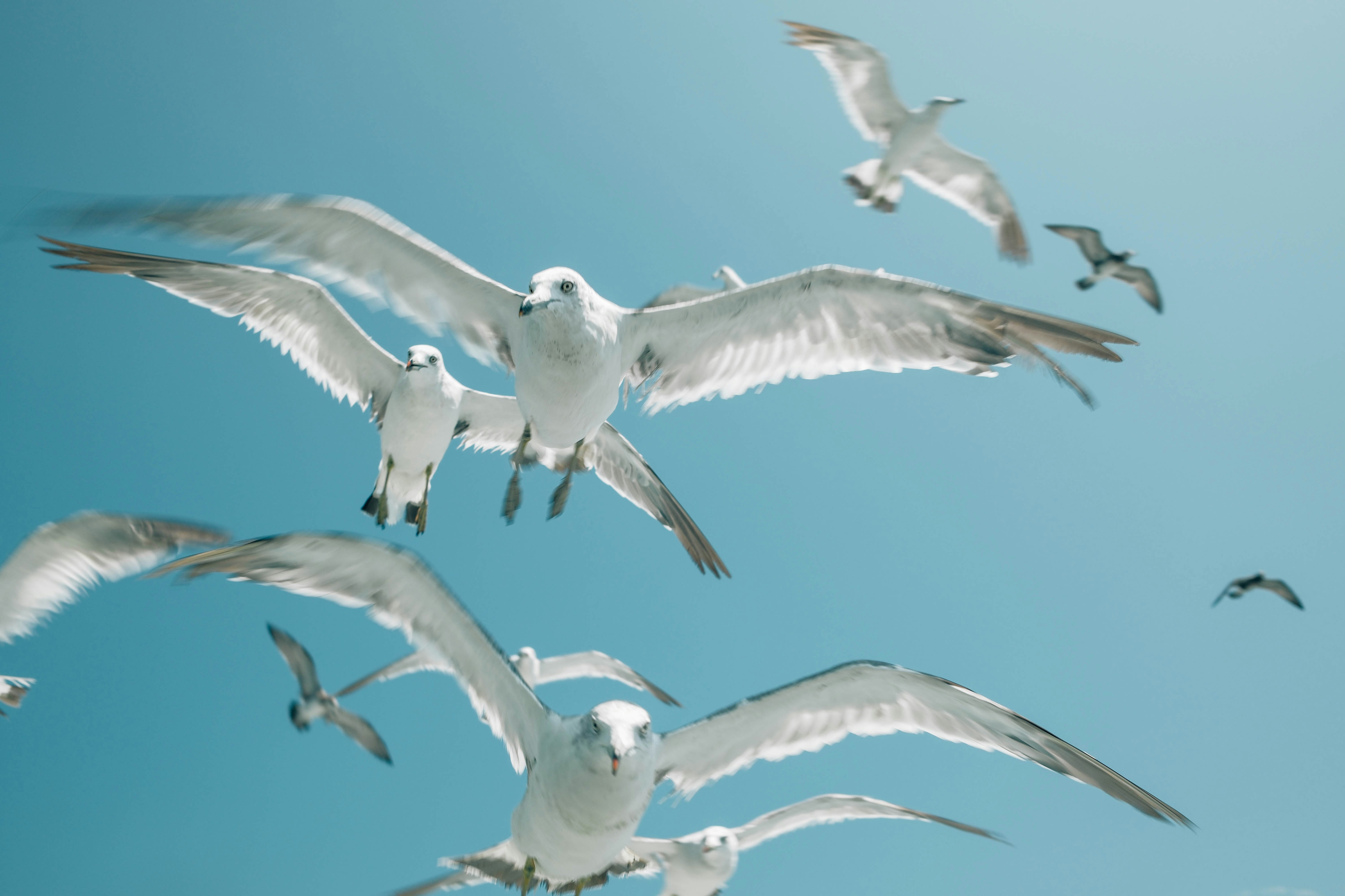 Photo by insungpandora