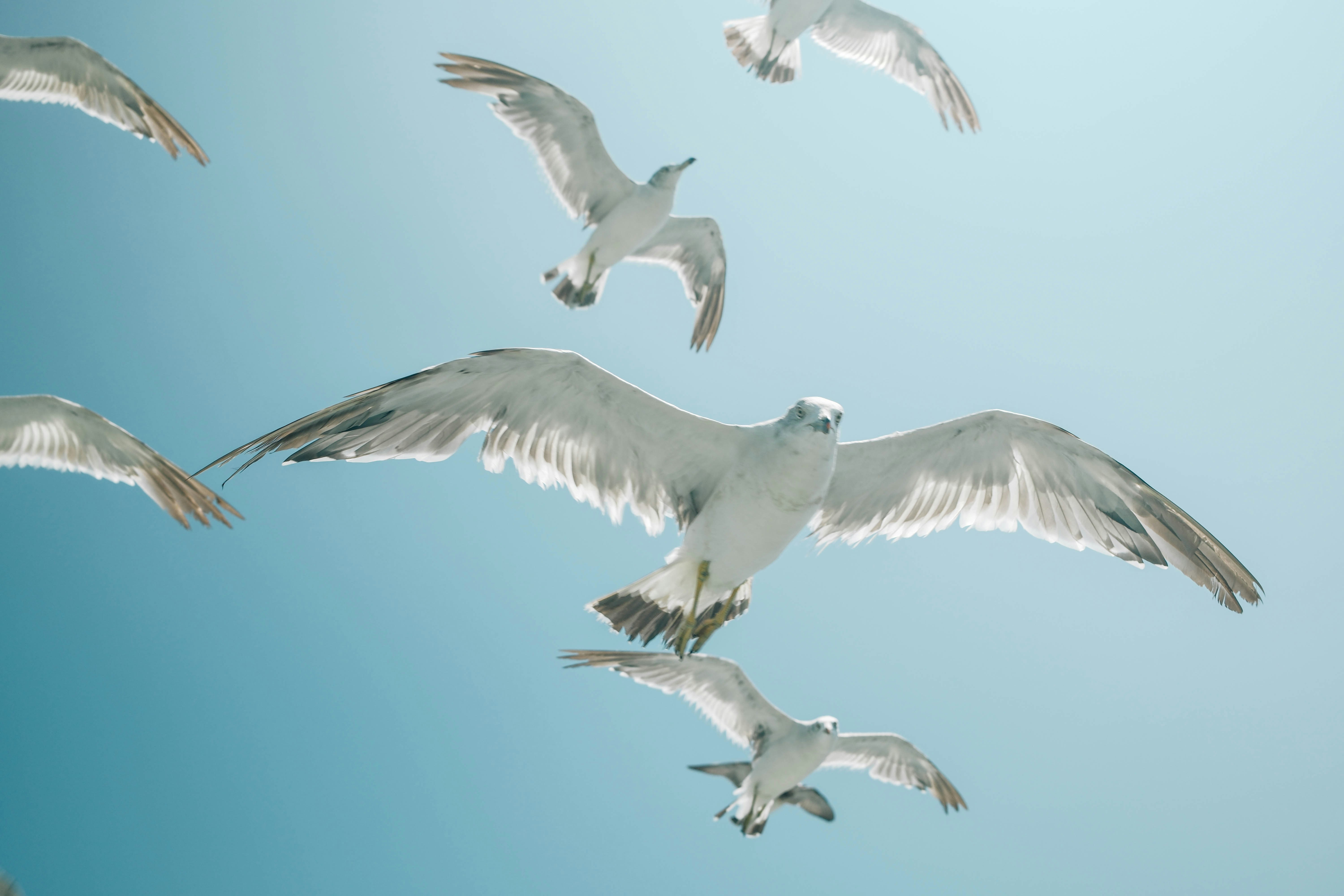 Photo by insungpandora