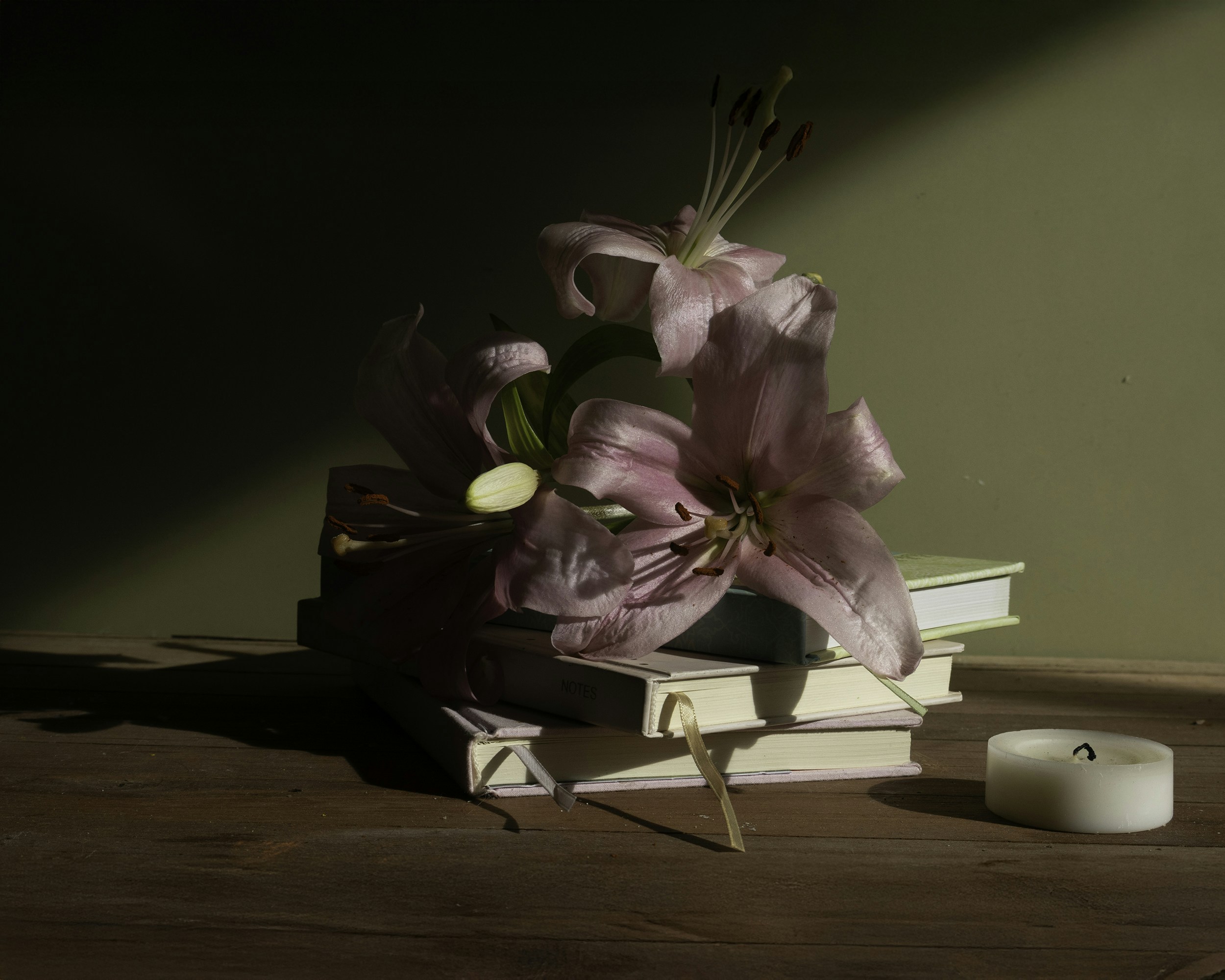 Photo by annaflowers24