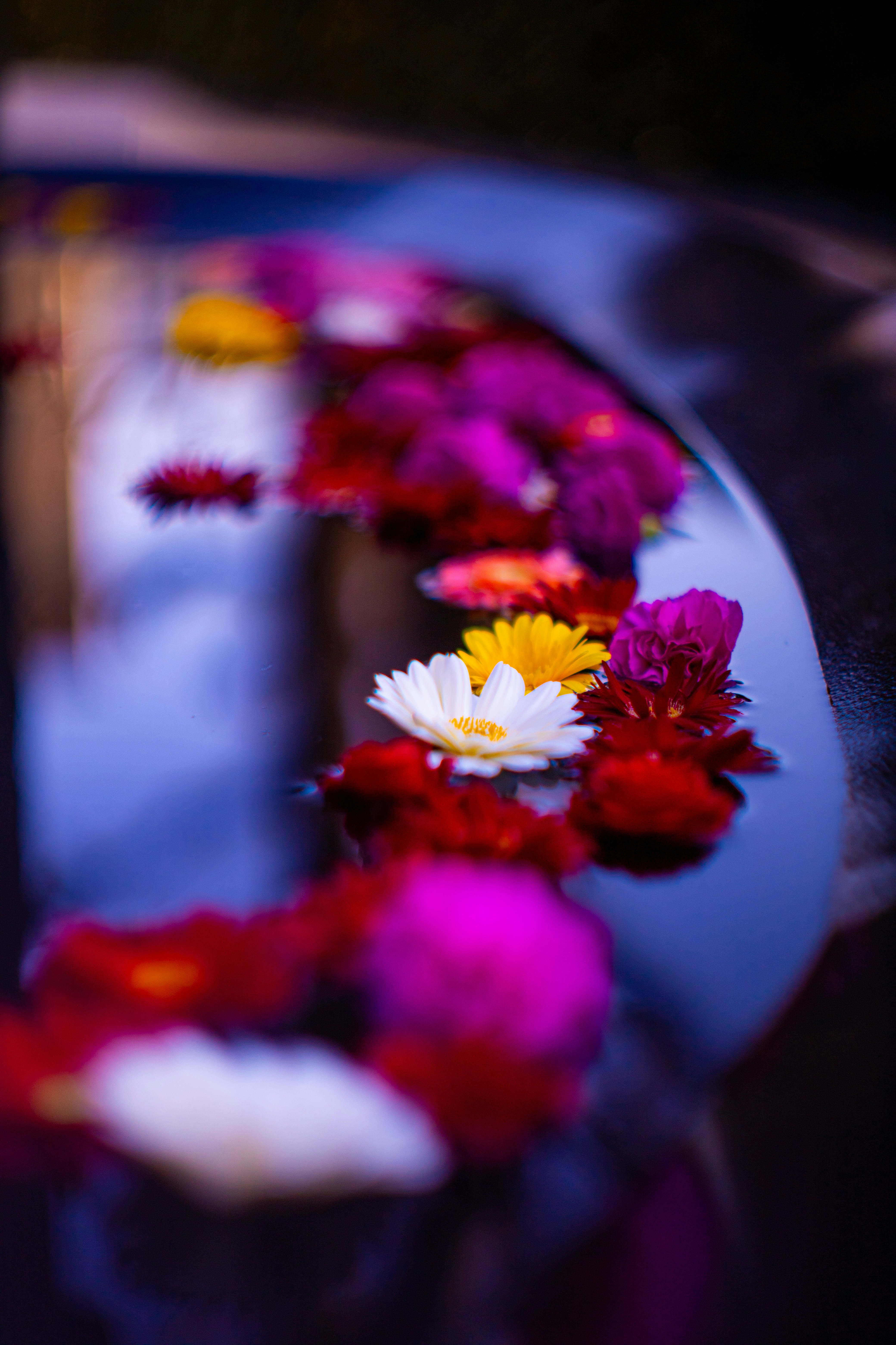 Photo by yokonoito0512