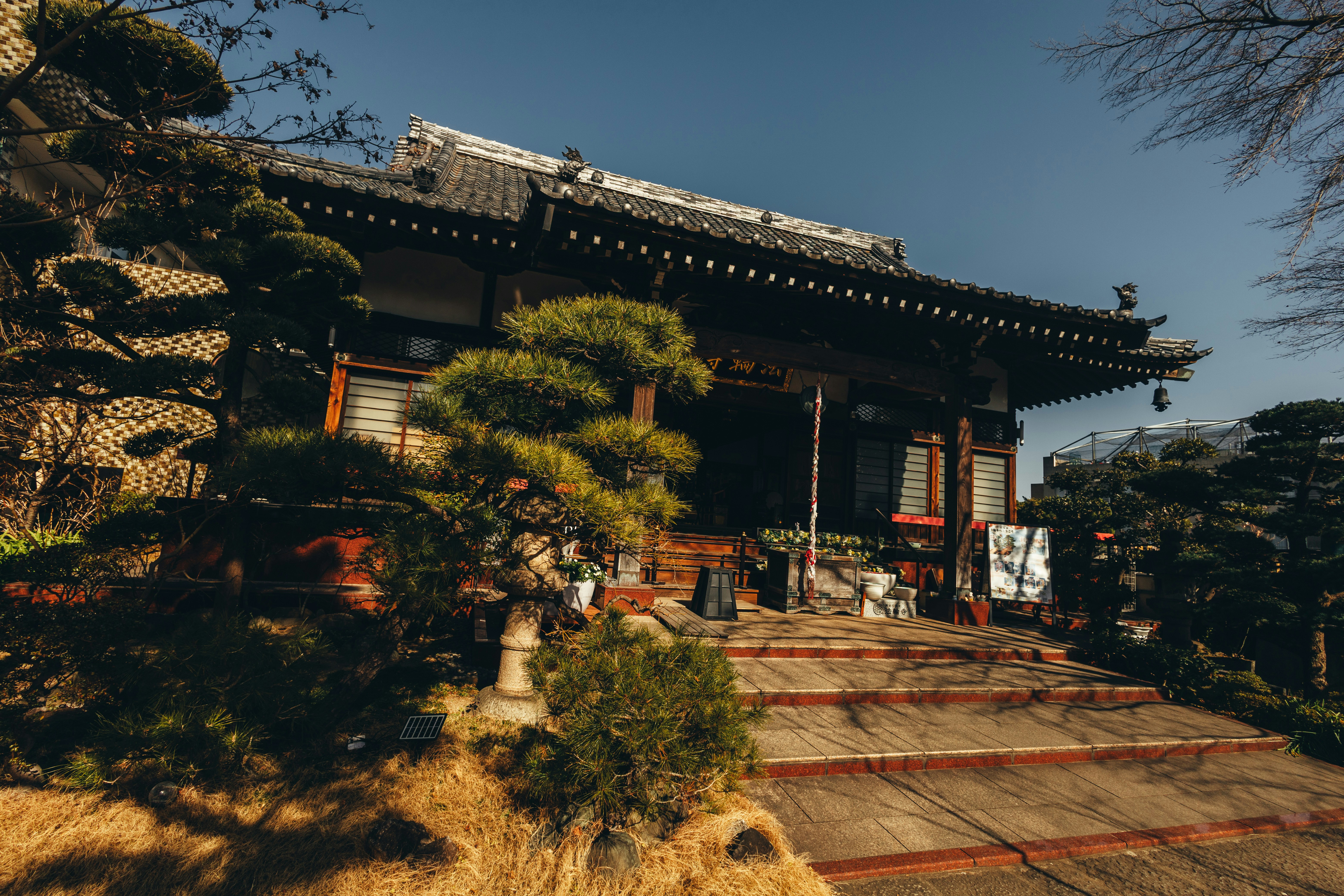 Photo by yokonoito0512