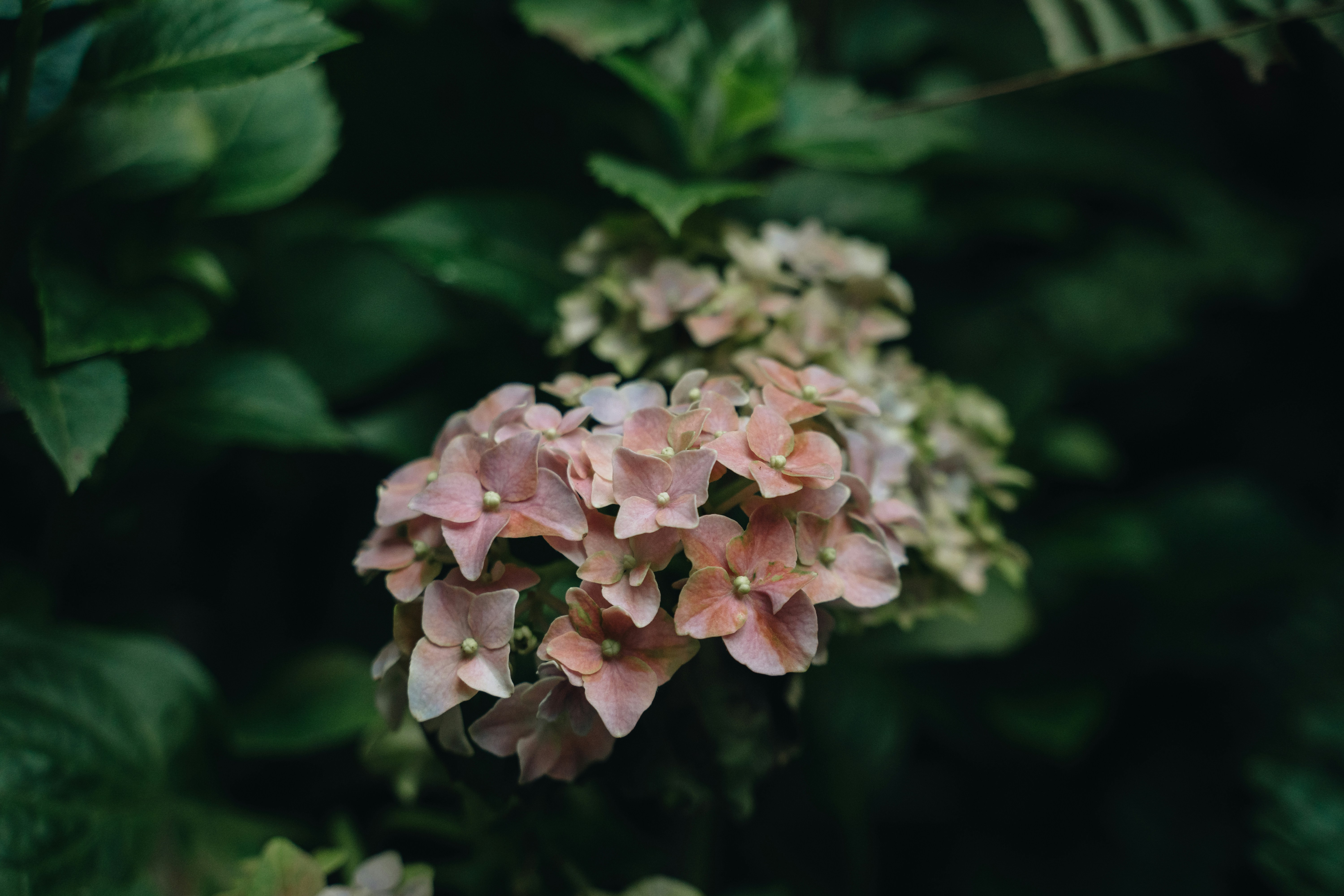 Photo by chuchu123456