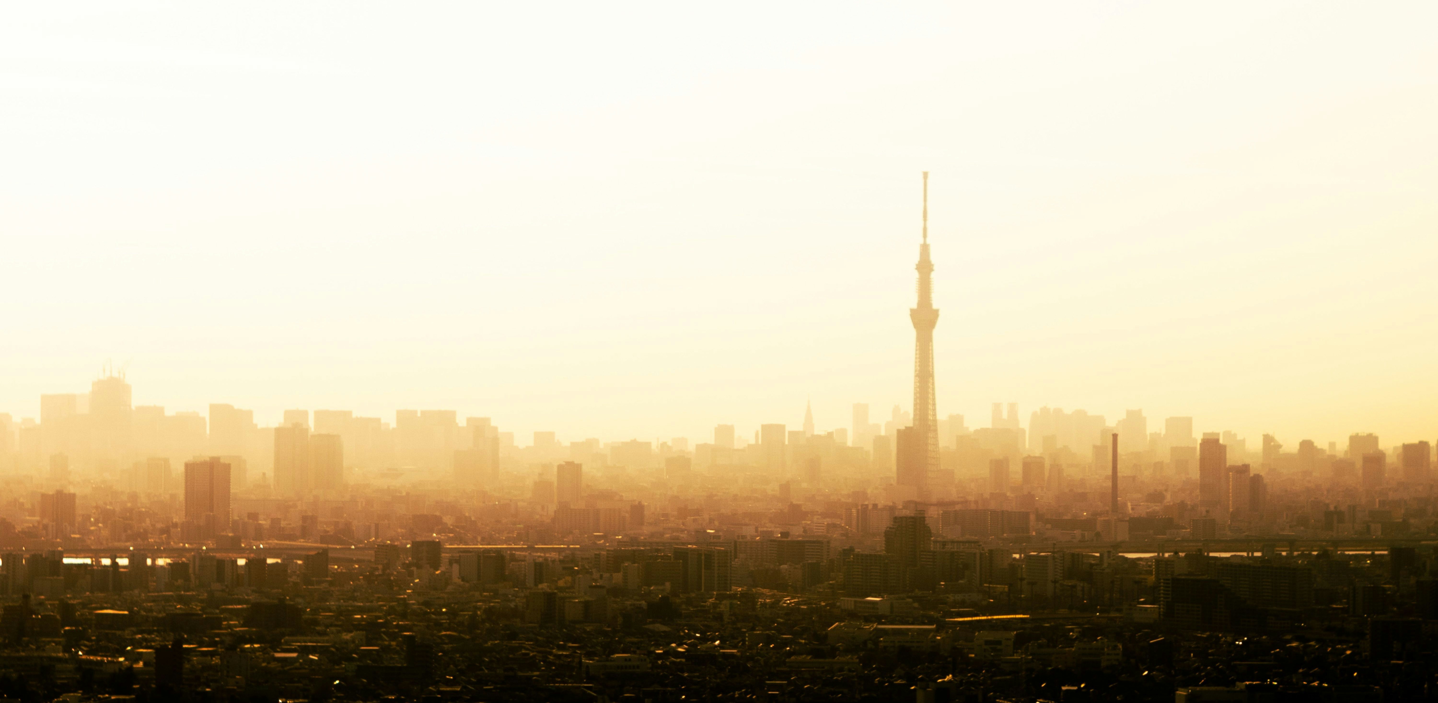 City skyline with a tall tower at sunset