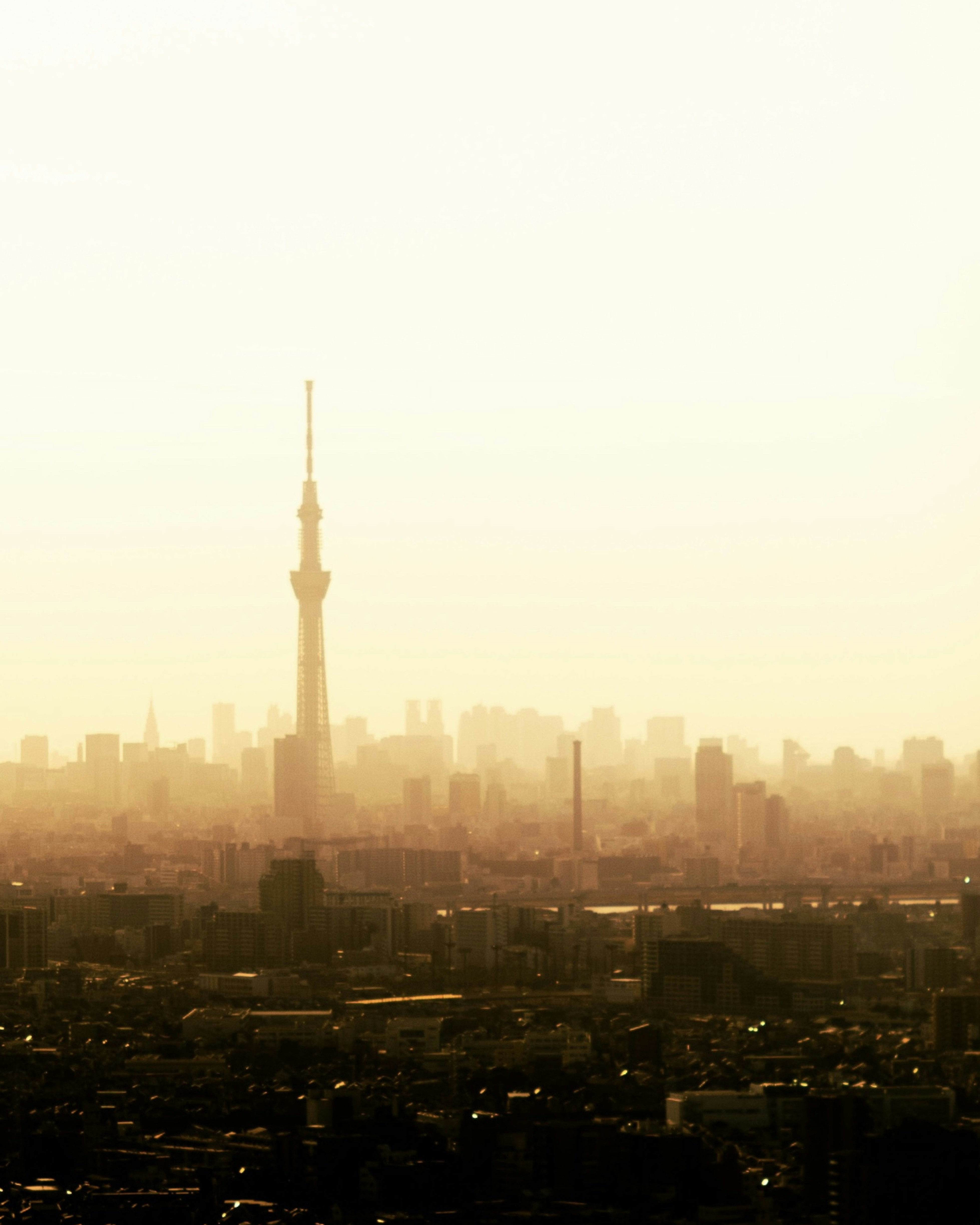 City skyline with a tall tower at sunset